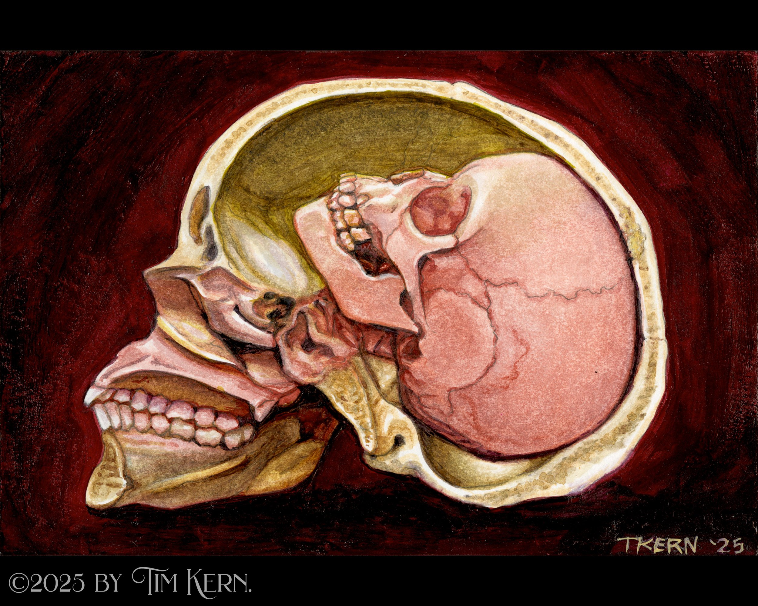 Memento-Humani.jpg