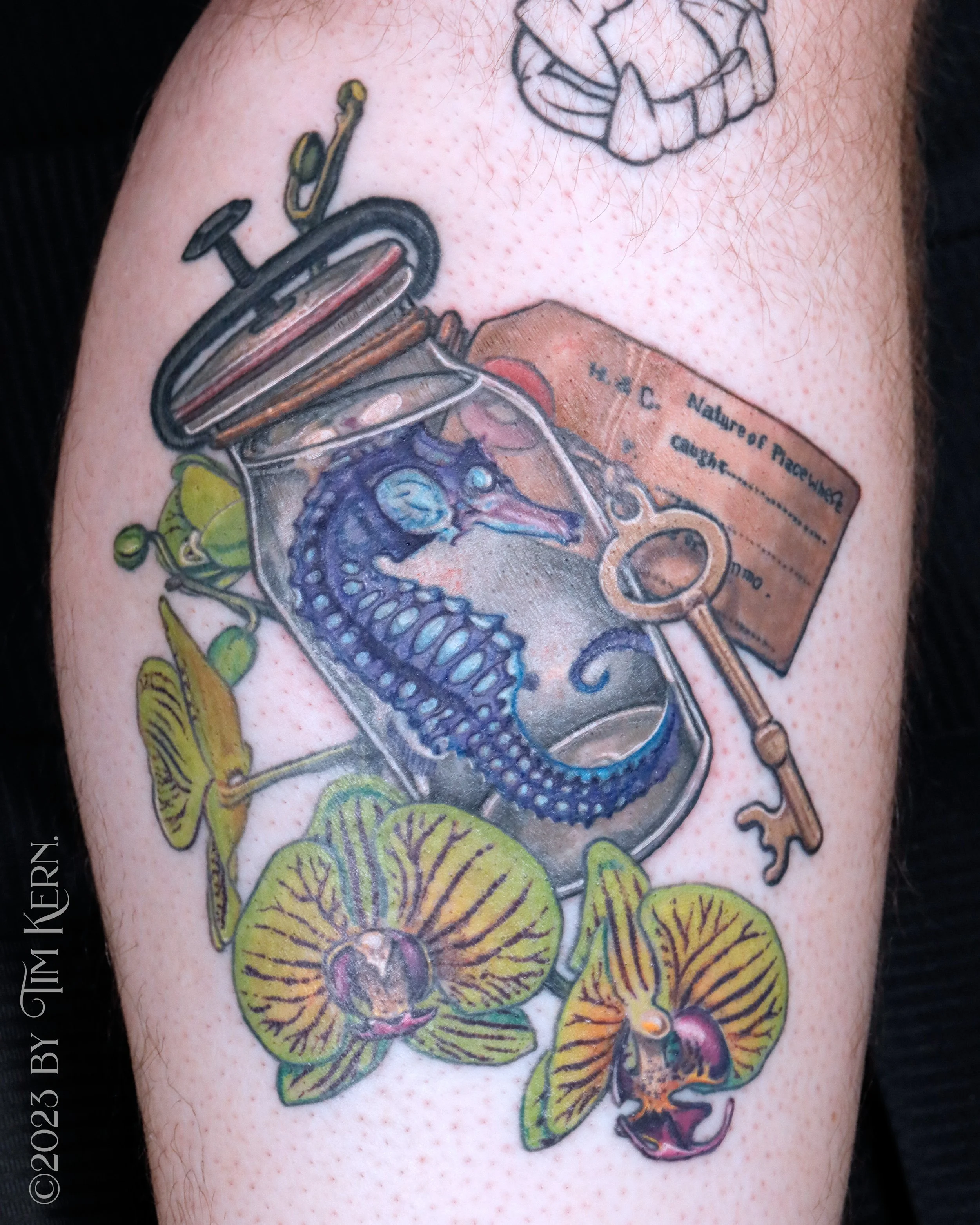 SeahorseJar.jpg