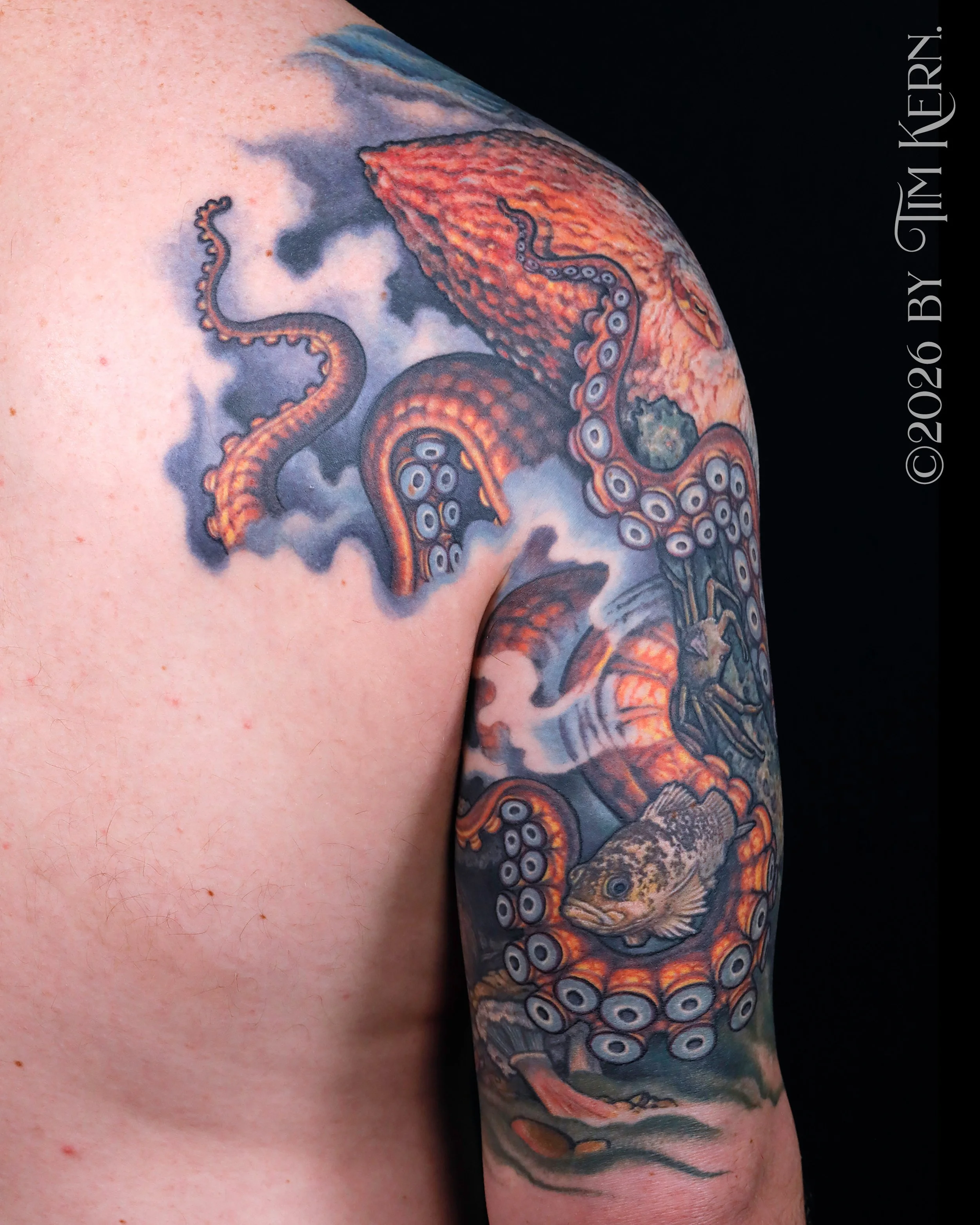 Pacific-Octopus-Coverup-2.jpg