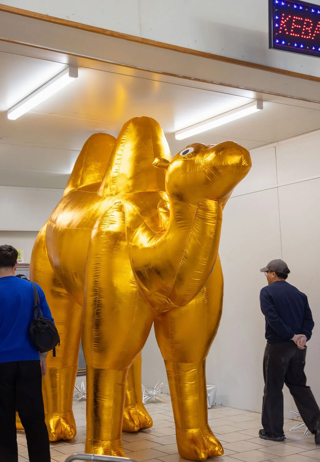 Fugitive Archives: A spoken future (Dukkana)