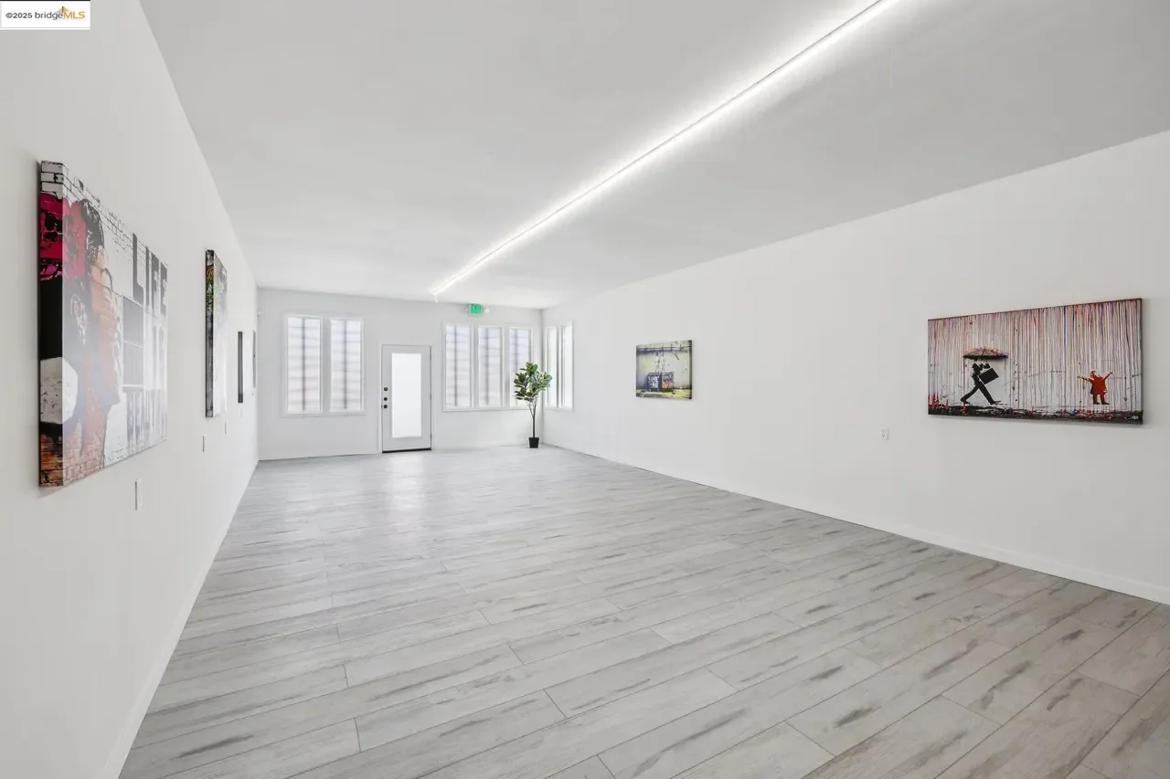 studio back to front 3.webp