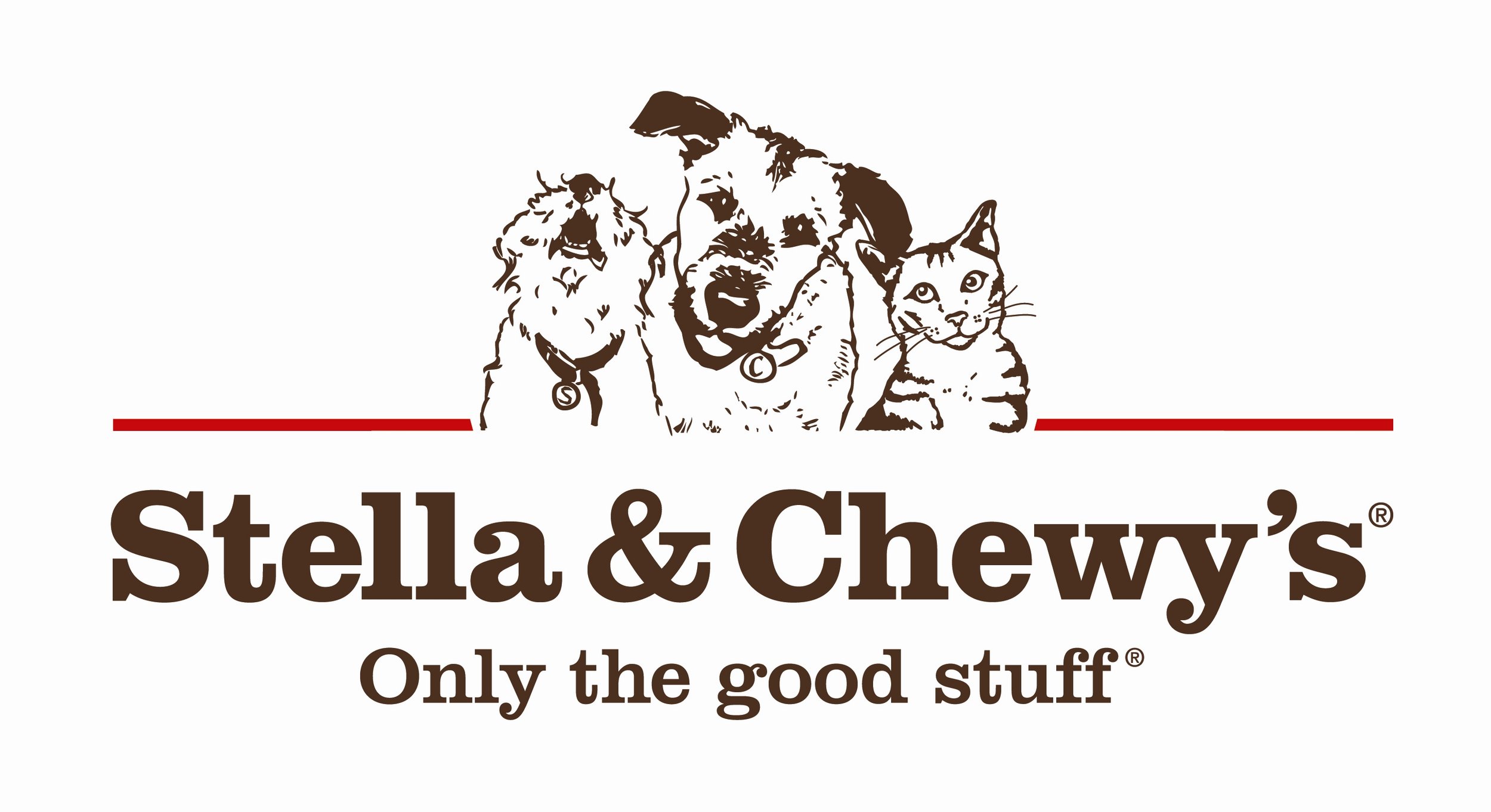 stella-chewy-large.jpg