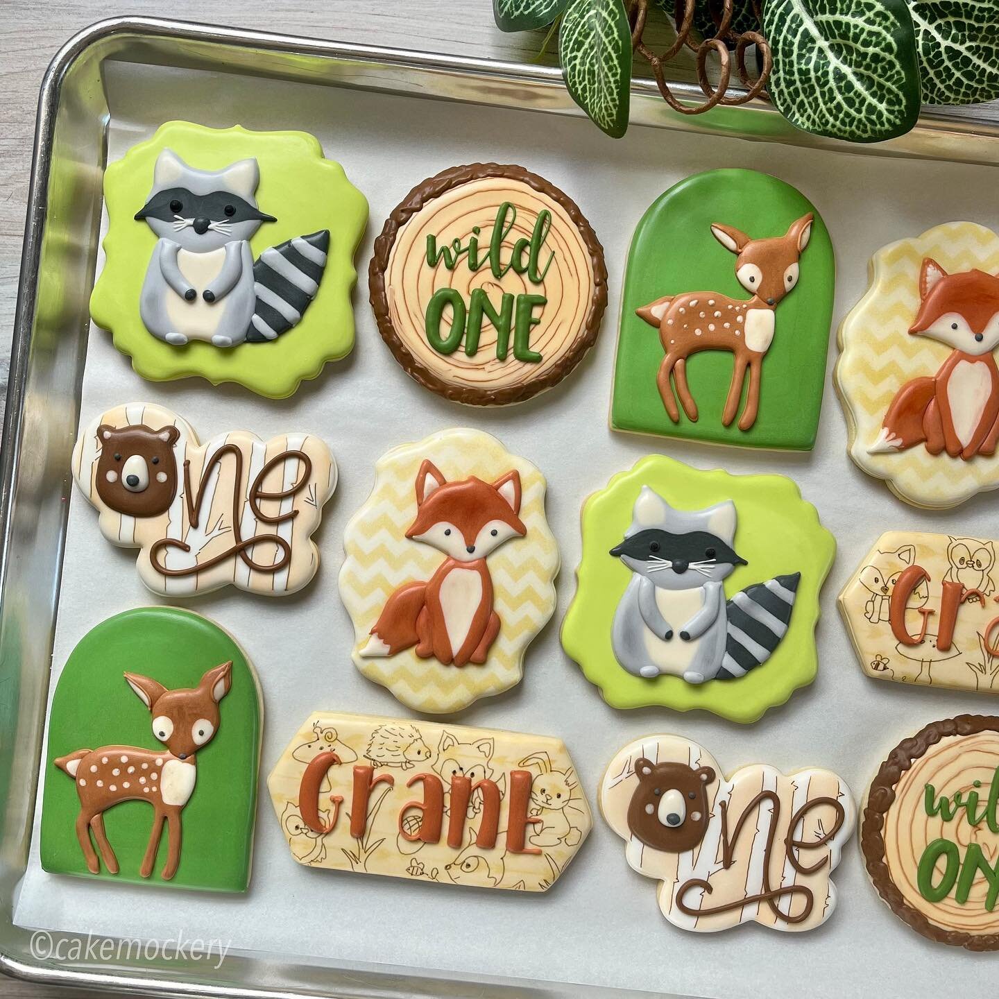 Grant is a wild ONE!!!! A woodland themed cookie set fit for a wildly cool kid!