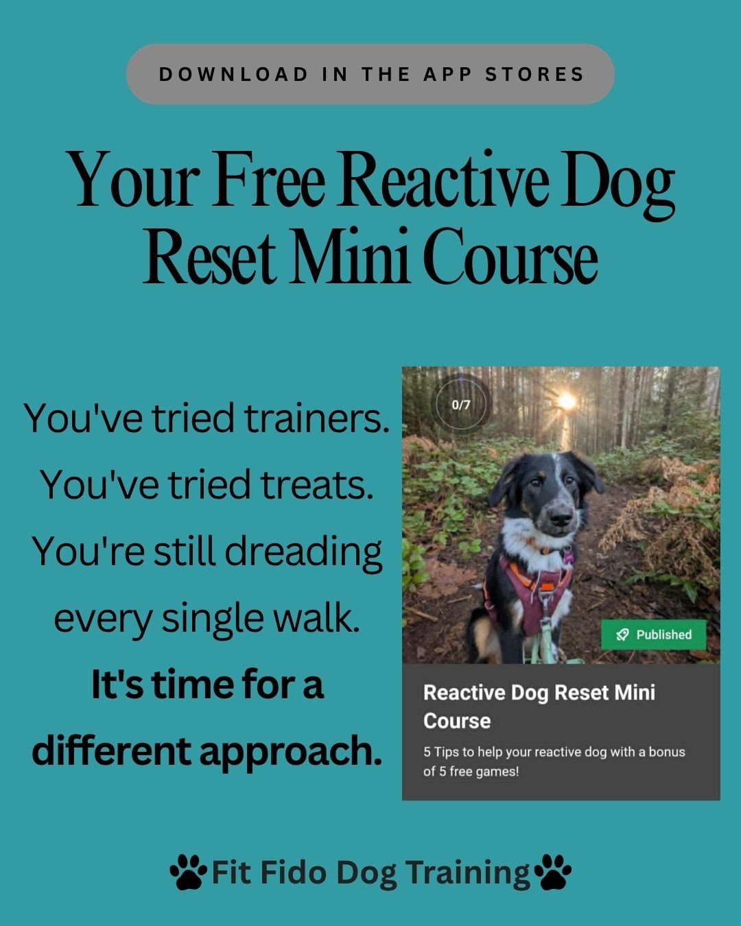Free online reactive dog program