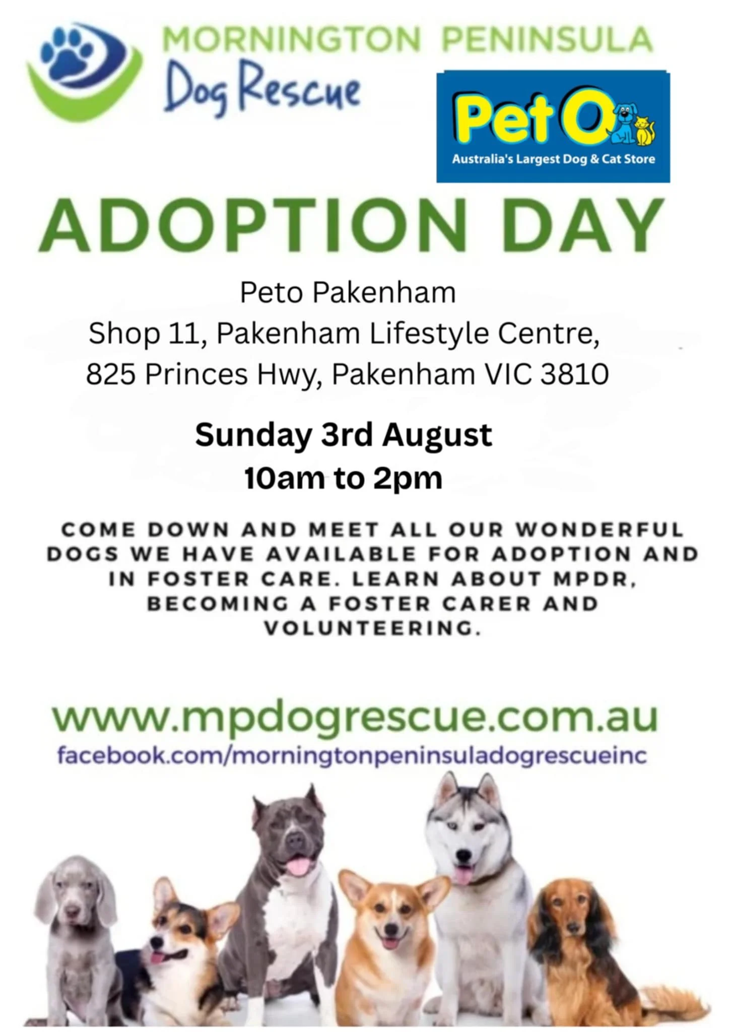 Adoption Day - PetO Pakenham
