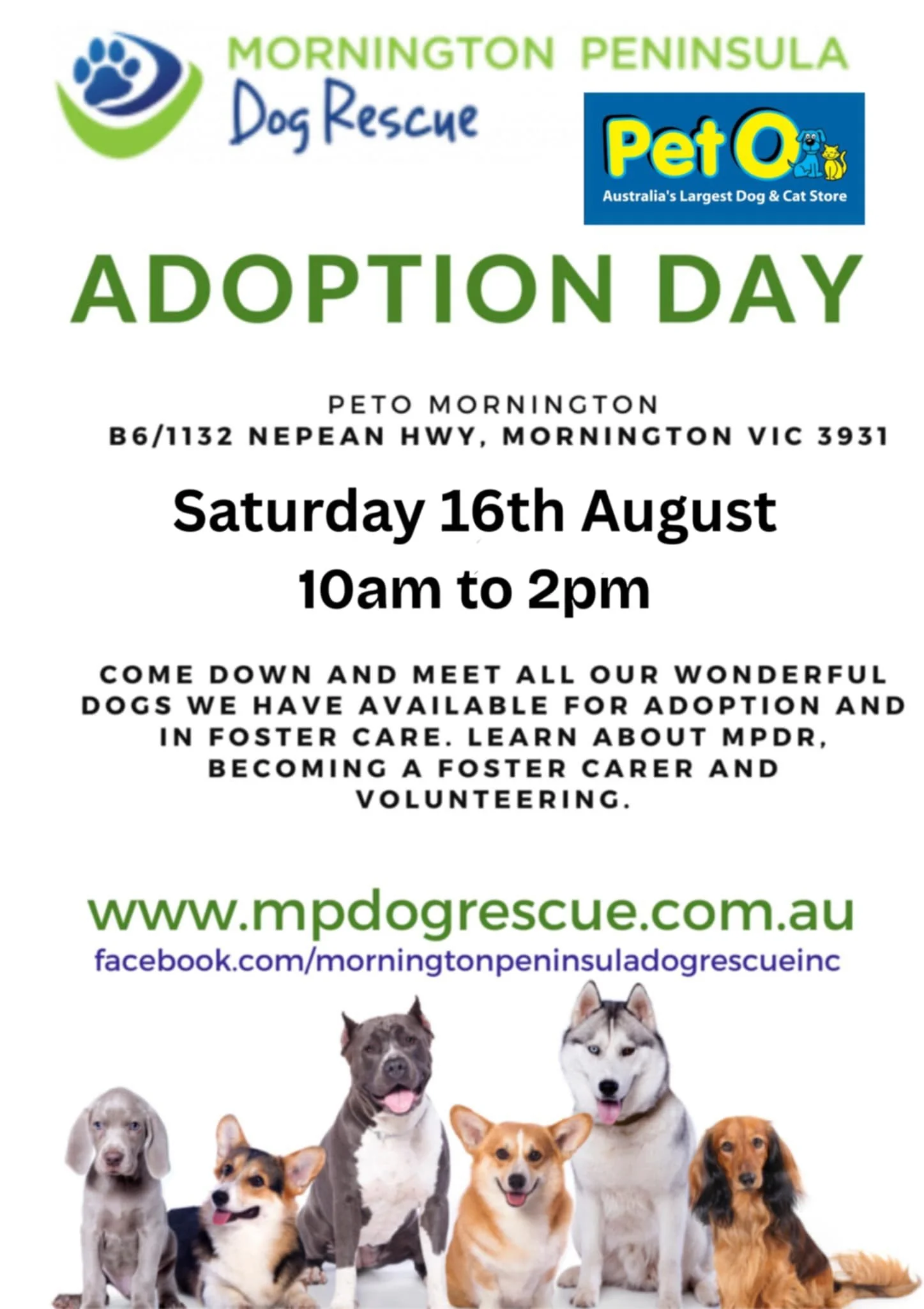 Adoption Day - PetO Mornington