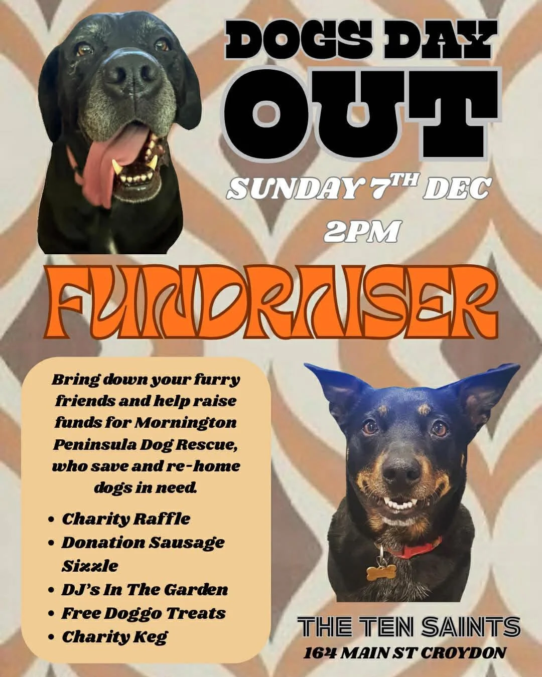 MPDRI_Dogs Day Out.jpg