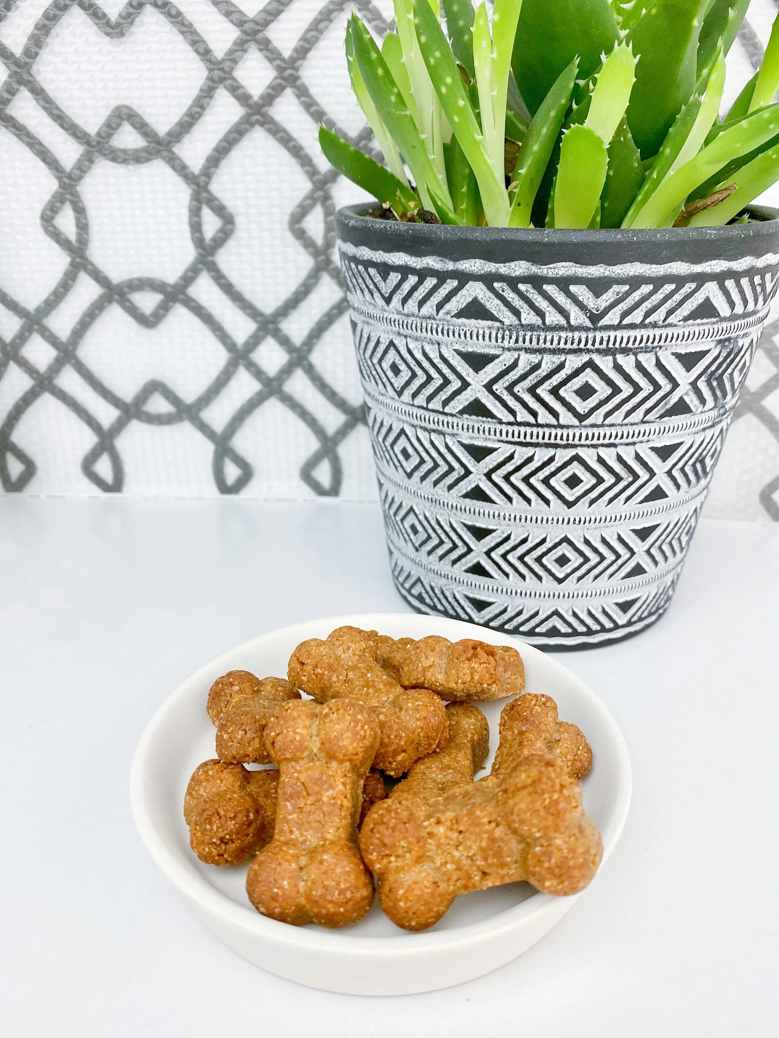 Treats 1.JPG