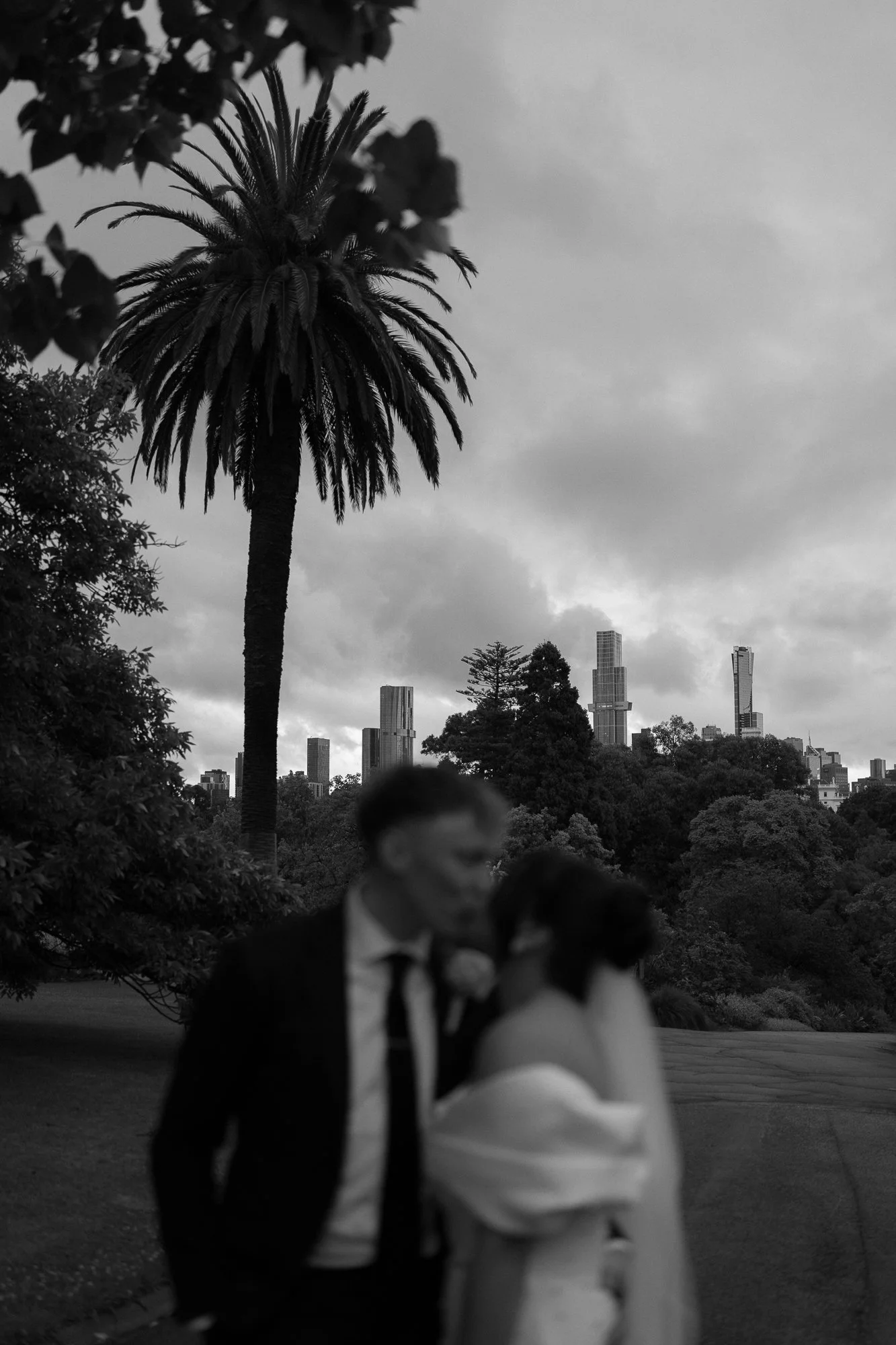 Royal-Botanic-Gardens-Melbourne-Wedding-Tenille-Nathan-58.jpg