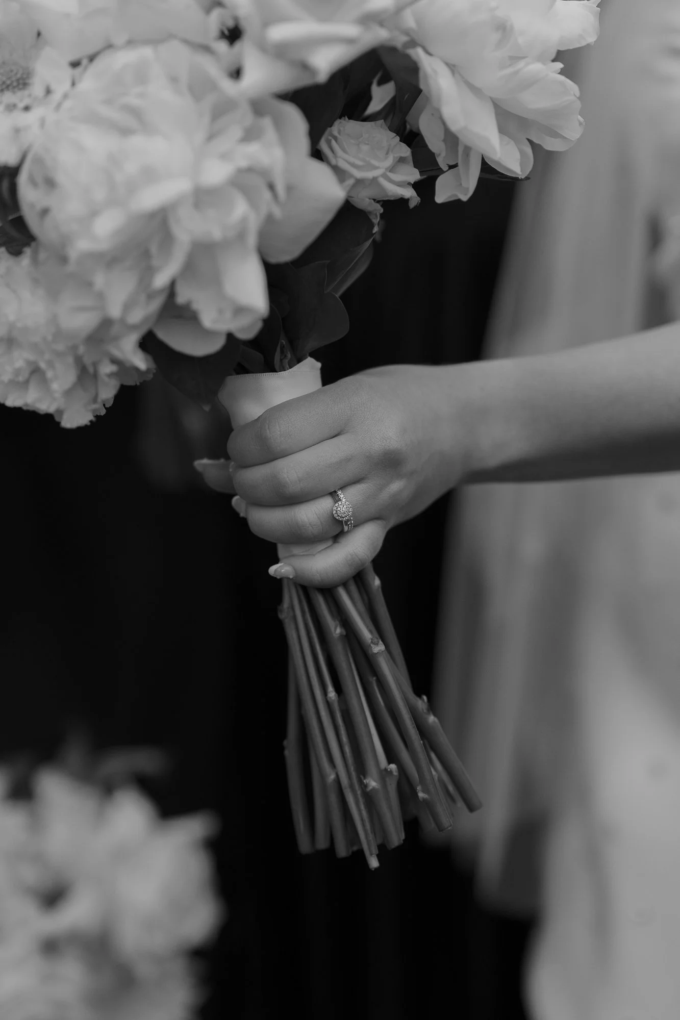 Royal-Botanic-Gardens-Melbourne-Wedding-Tenille-Nathan-65.jpg
