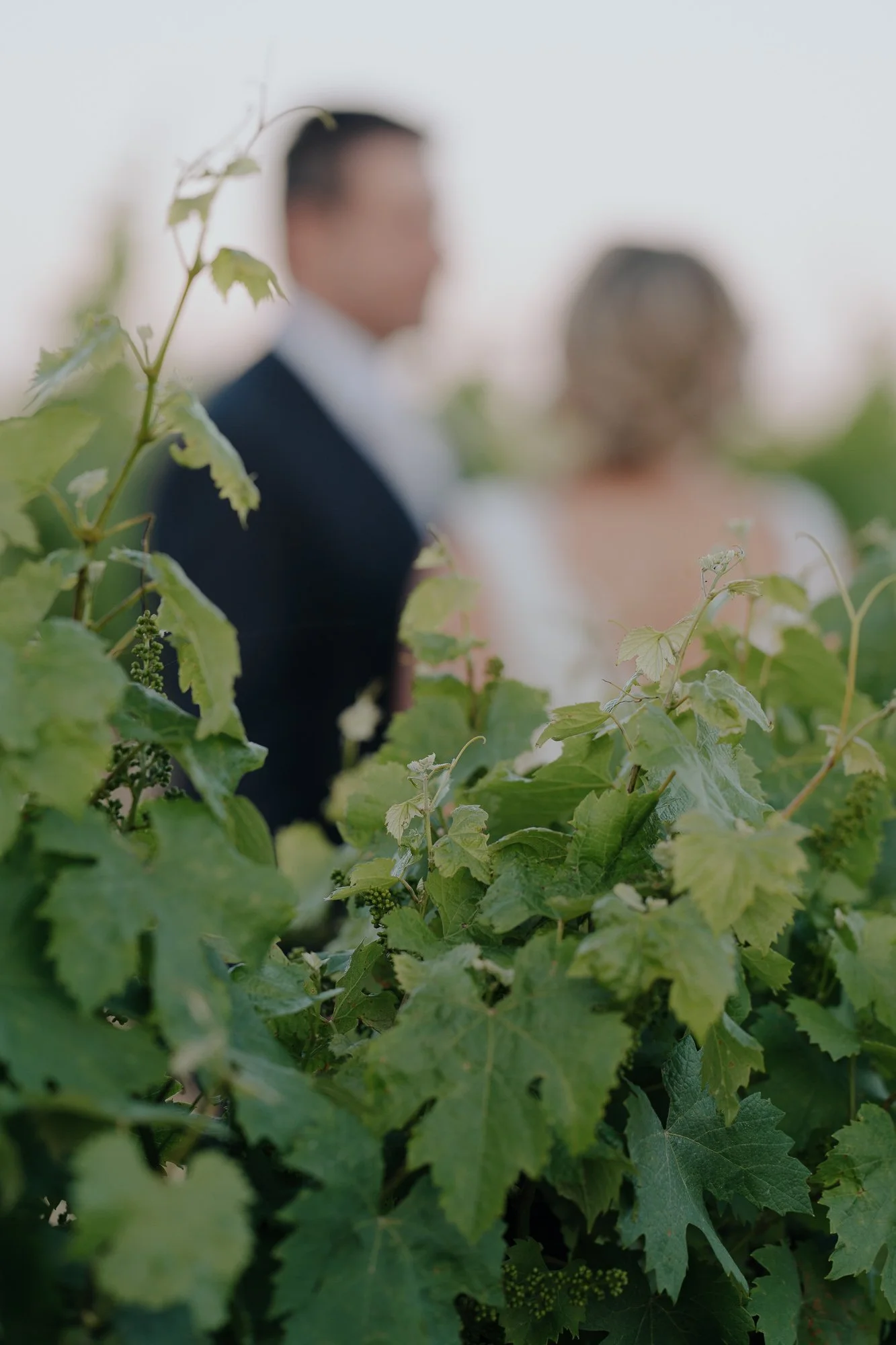 A blurry photo of a man and woman in formal attire, standing outdoors amidst green foliage, at Buller Wines Rutherglen.