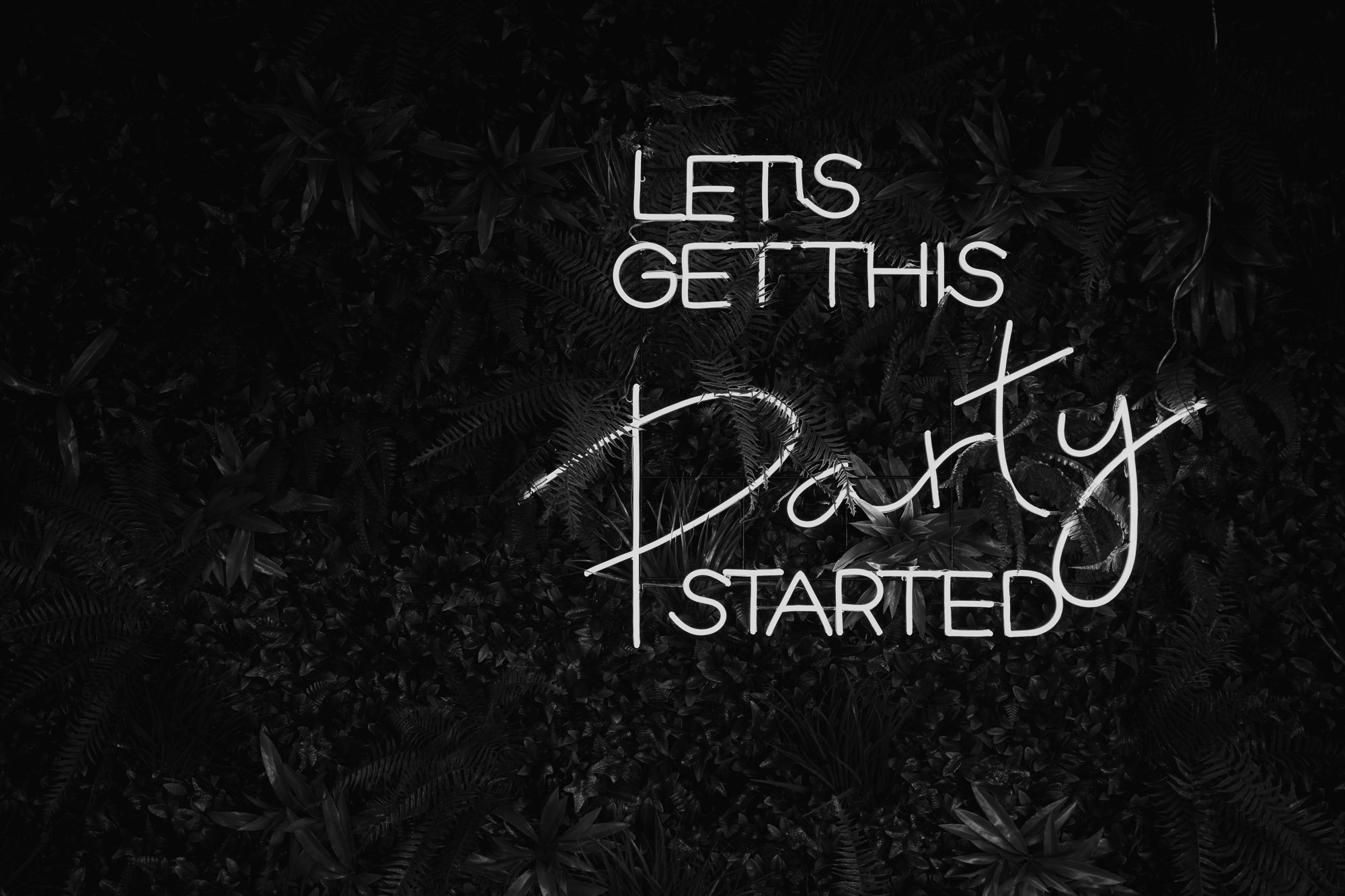 A neon sign with the words 'Let's get this party started' over a dark leafy background at the Vines on Avon.