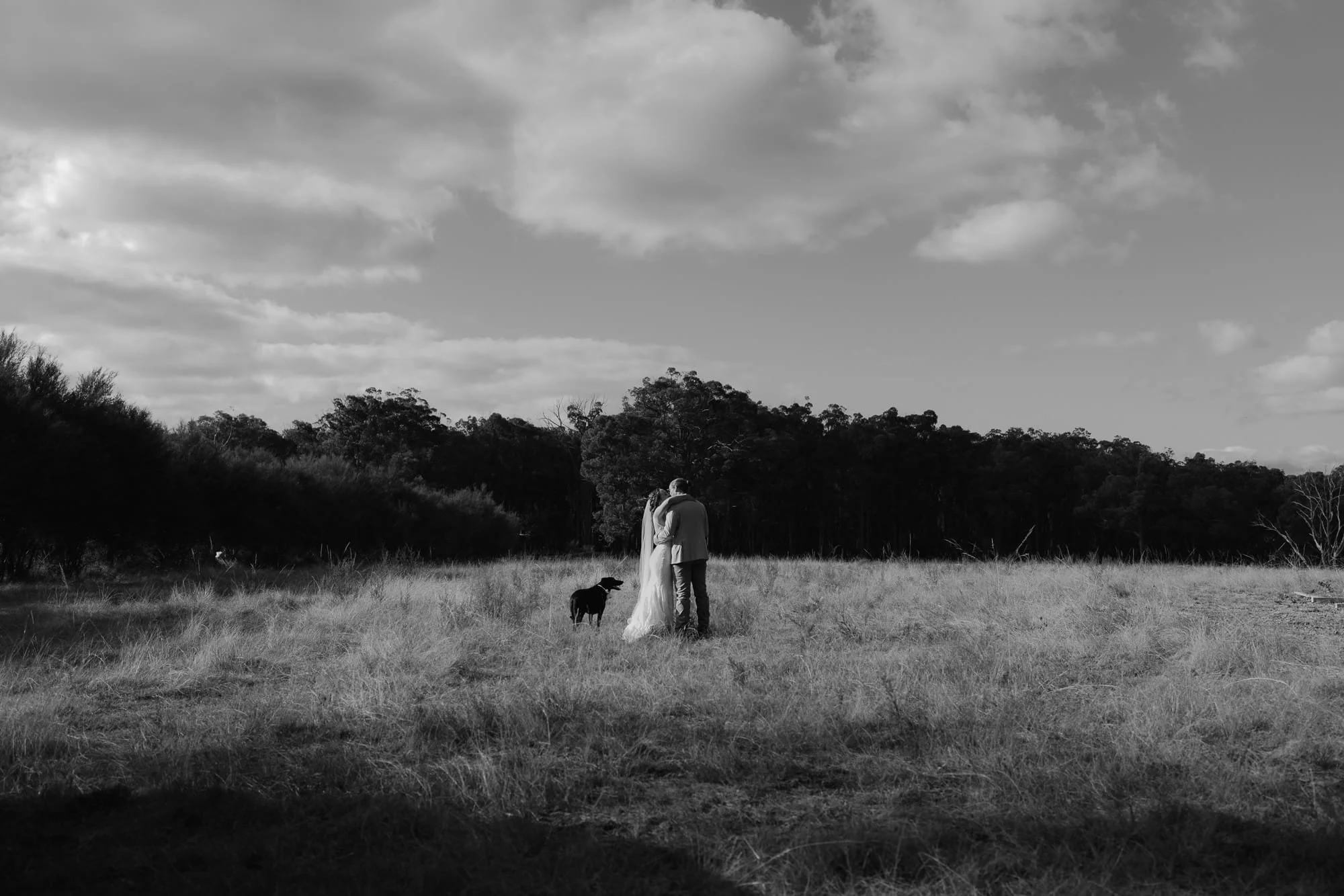 Gippsland Farm Wedding Photography. A bride and groom are standing together in a field, embracing, with a dog nearby. The scene is outdoors with a backdrop of trees and a partly cloudy sky. 