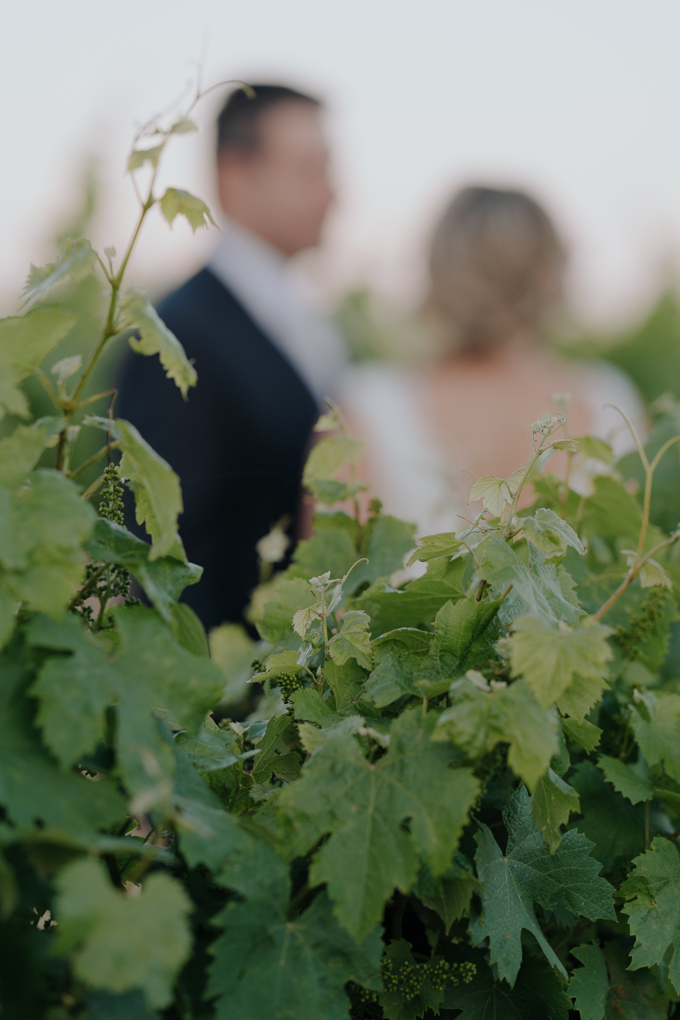 A blurry photo of a man and woman in formal attire, standing outdoors amidst green foliage, at Buller Wines Rutherglen.