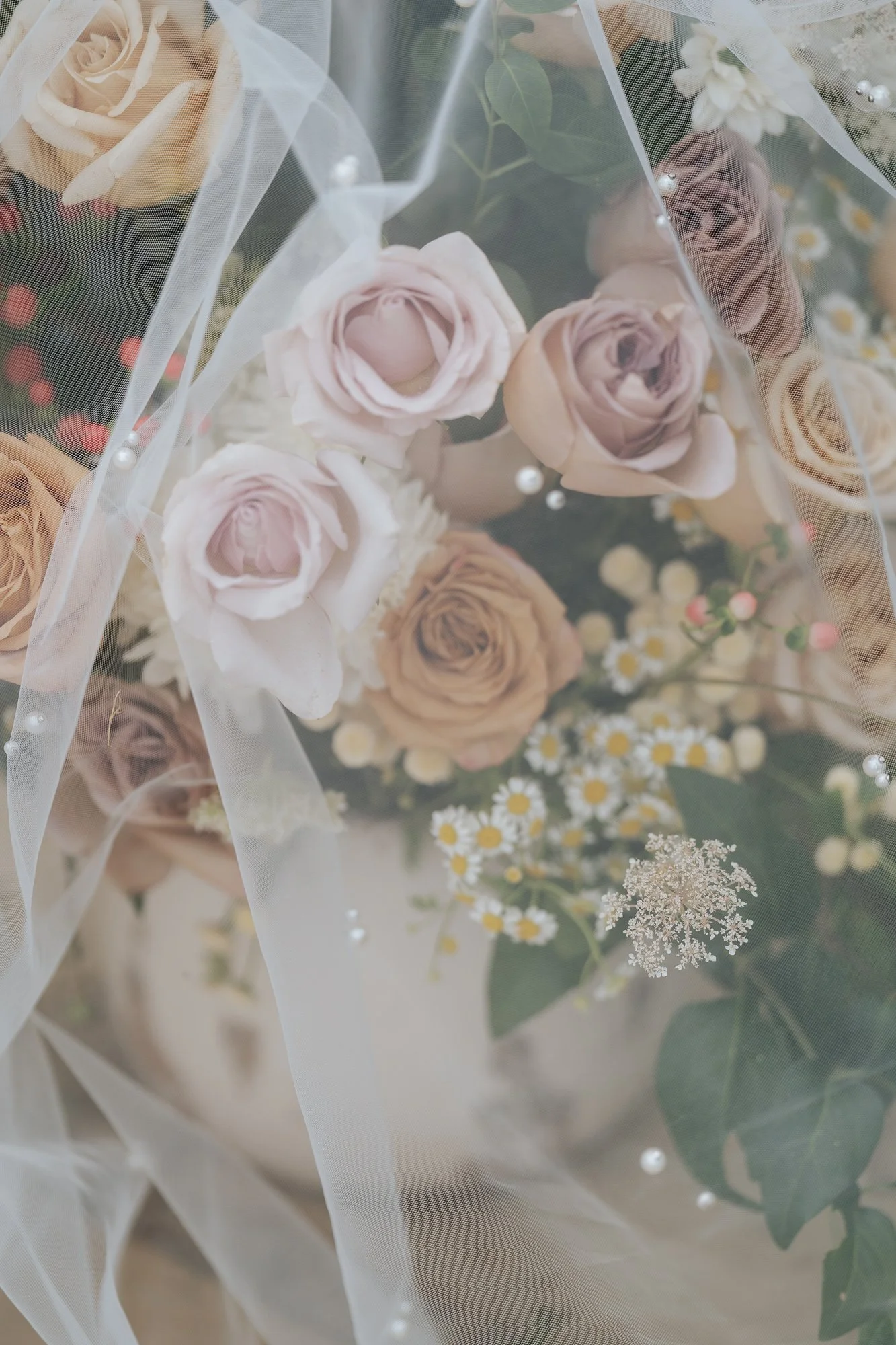 A floral bouquet with beige and pink roses, white daisies, and baby's breath wrapped in sheer white fabric.