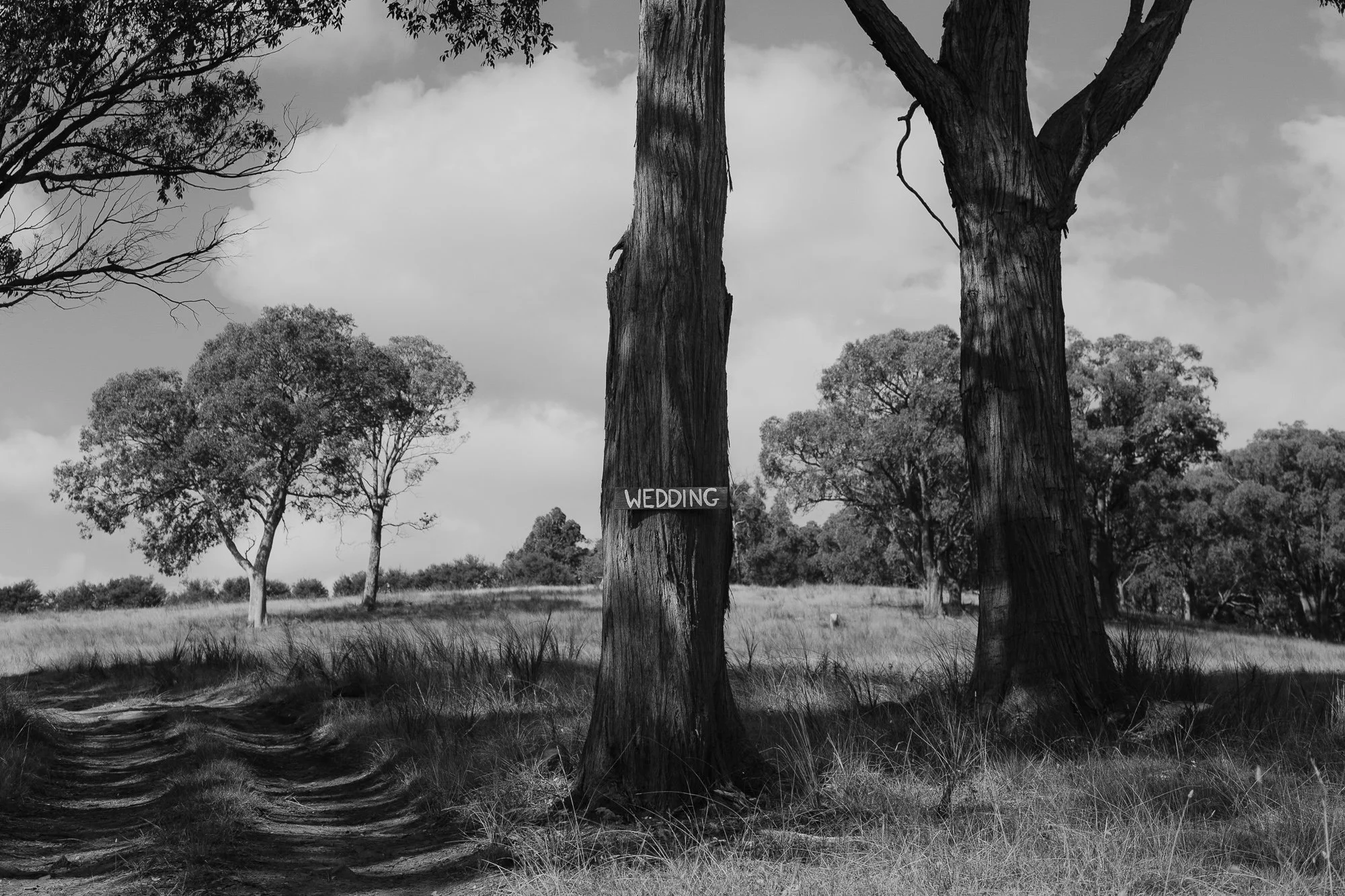 Black and white photo of a rural area with dirt path and trees, one tree has a sign that reads 'WEDDING'.