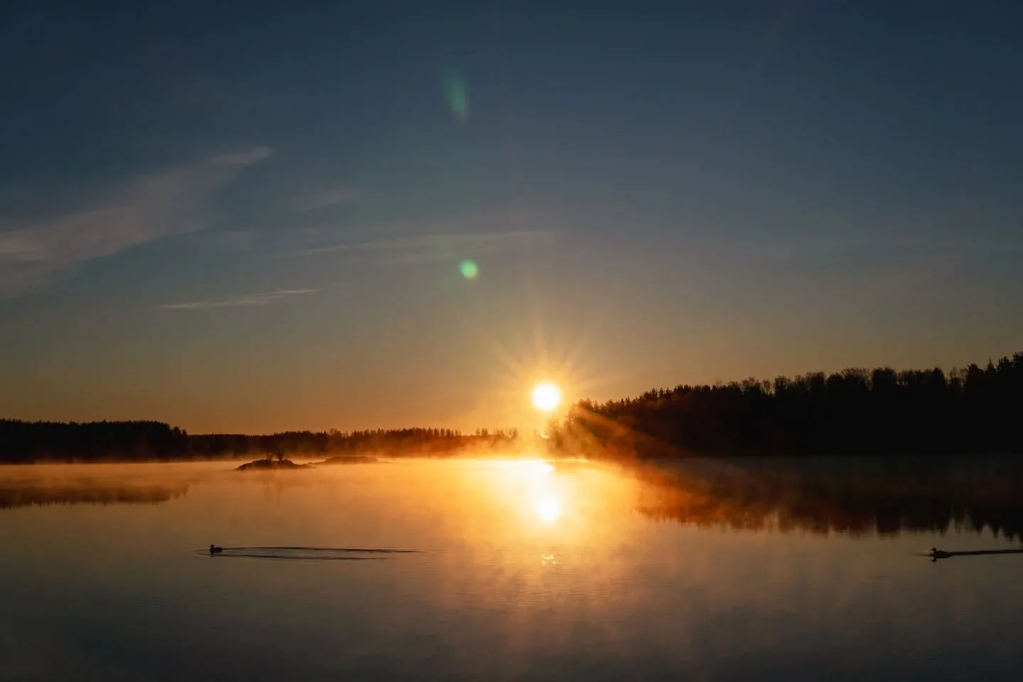 Syysaamut on jotenkin niin spessuja.
Tulevaan viikkoon mahtuu asuntokuvauksia, tuoteperheen grafiikoiden suunnittelua ja verkkosivujen rakentamista, Joenzoota sekä ystävän synttärijuhlat. ✨ Täyteläistä. 💛
Mukavaa