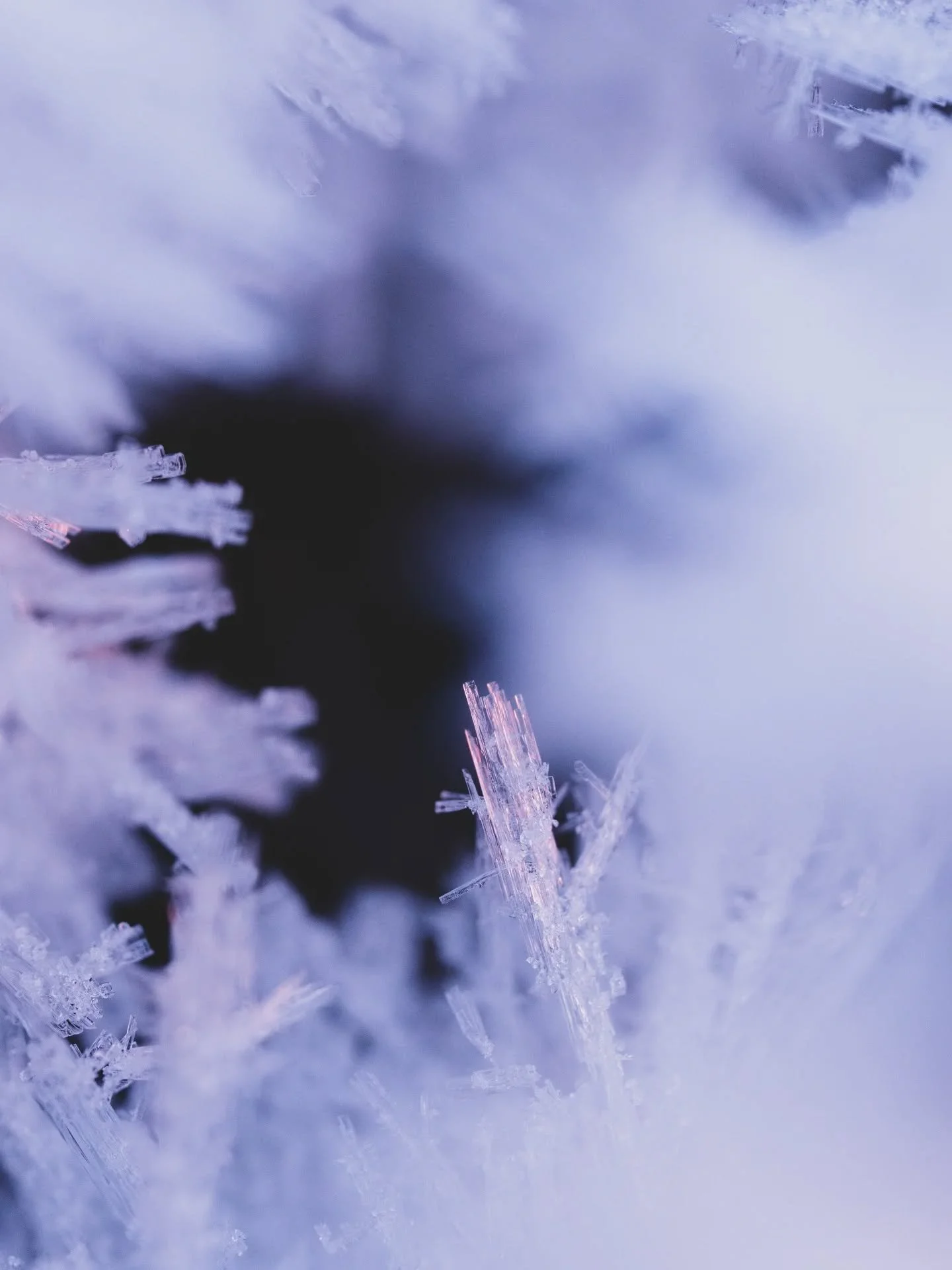 Aamu kuin uni. ✨

Eilinen oli upea, ihana, koskettava, kertakaikkisen ravitseva ja humoristinen. Kiitos @katjajarsta. Olet huikea esiintyj&auml;. ❤️✨

✨

Sunnuntaiaamu pukeutui aamuauringon s&ouml;p&ouml;ihin s&auml;vyihin. Luonto on kietoutunut  kuu