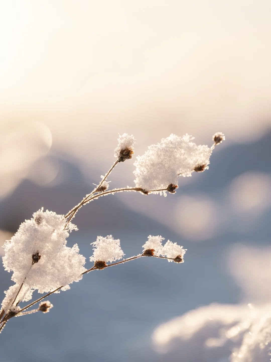 Valon p&auml;iv&auml;. ✨

Oon helpottunut, ett&auml; vuosi 2025 vetelee viimeisi&auml;&auml;n. Kuluneeseen vuoteen mahtuu paljon. 

Paljon taloudellista ep&auml;varmuutta ja murhetta, menetyksi&auml;, monenkirjavia projekteja, omien rajojen vahvistam