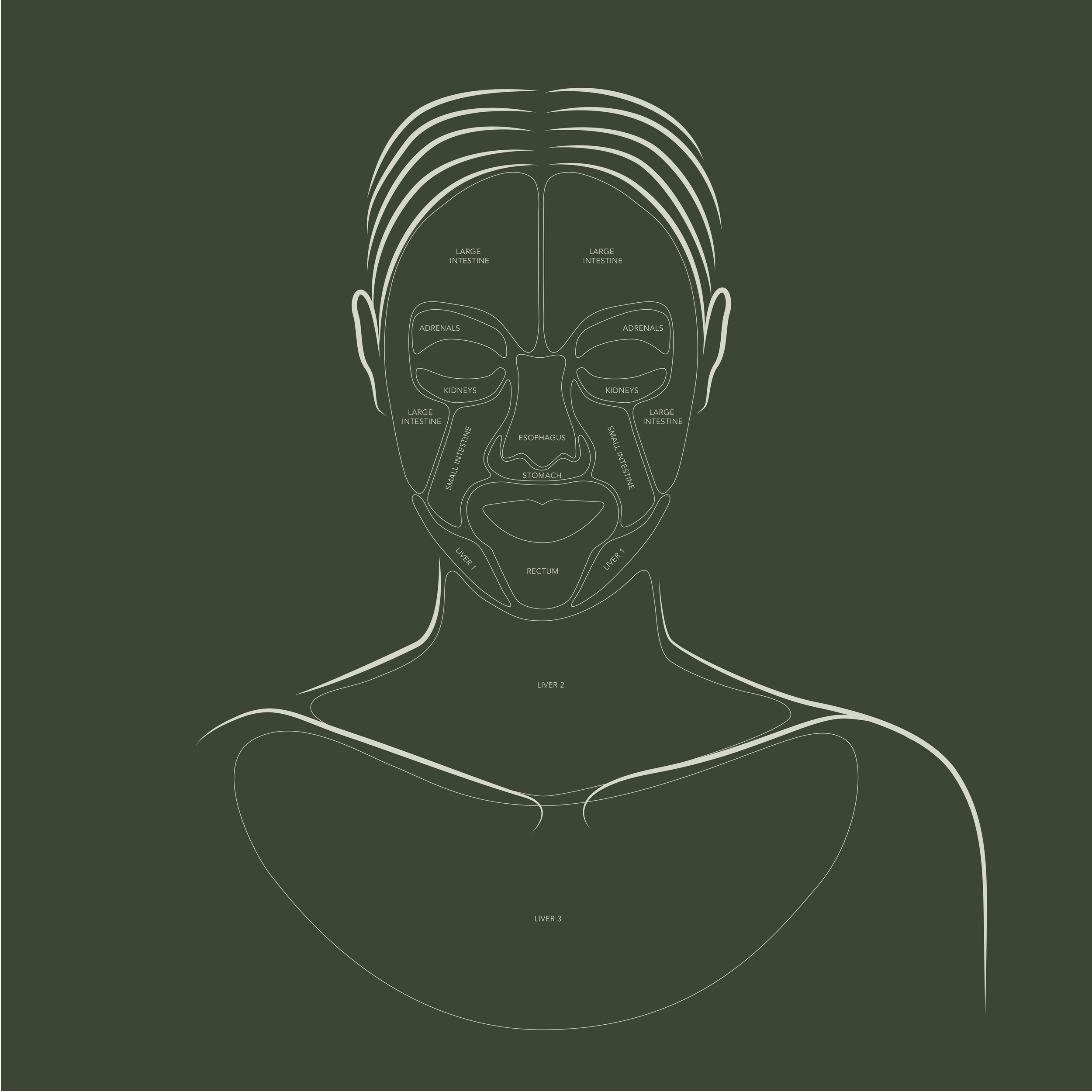 Skin Map Guide: What Each Facial Zone Reveals About Your Health — The ...