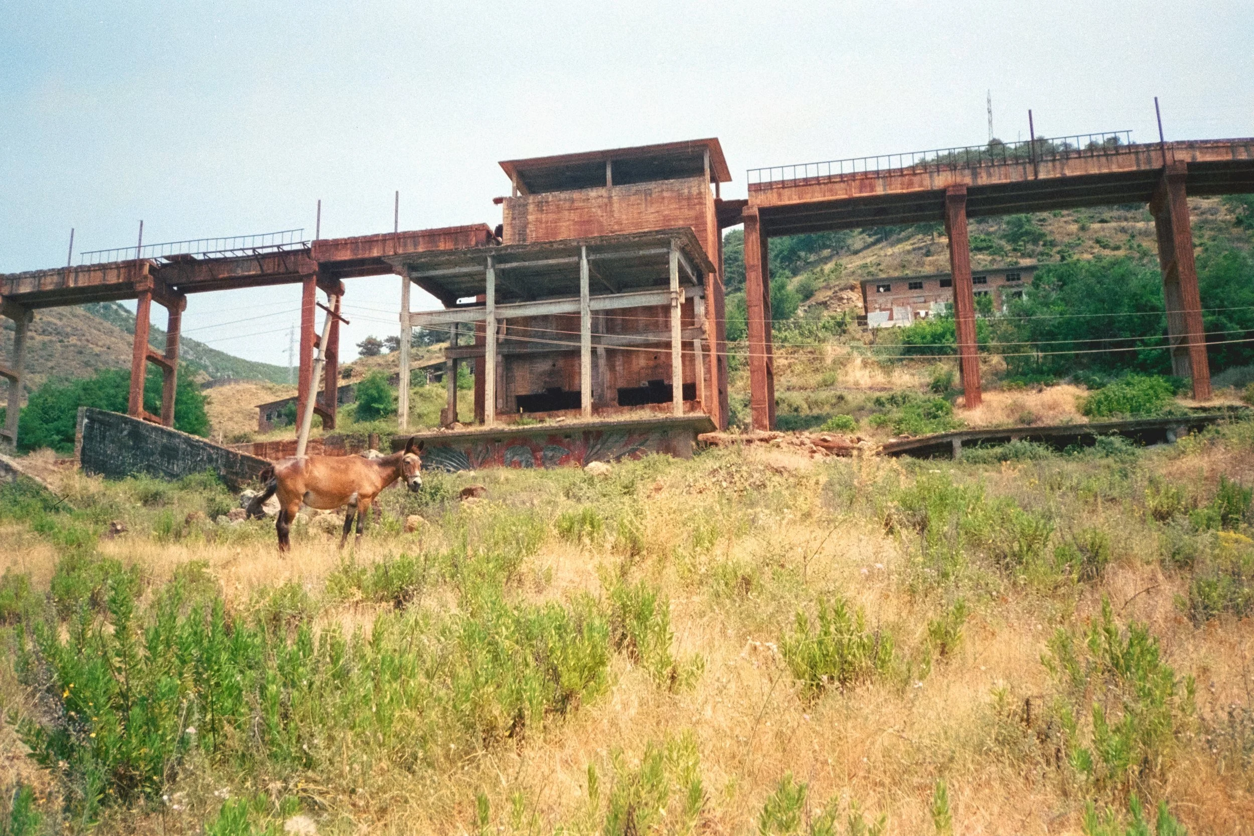 Charlotte Alice Martha Dossche_ephemera-5.jpg