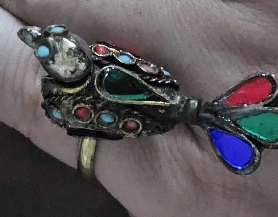 bird ring 2.jpg