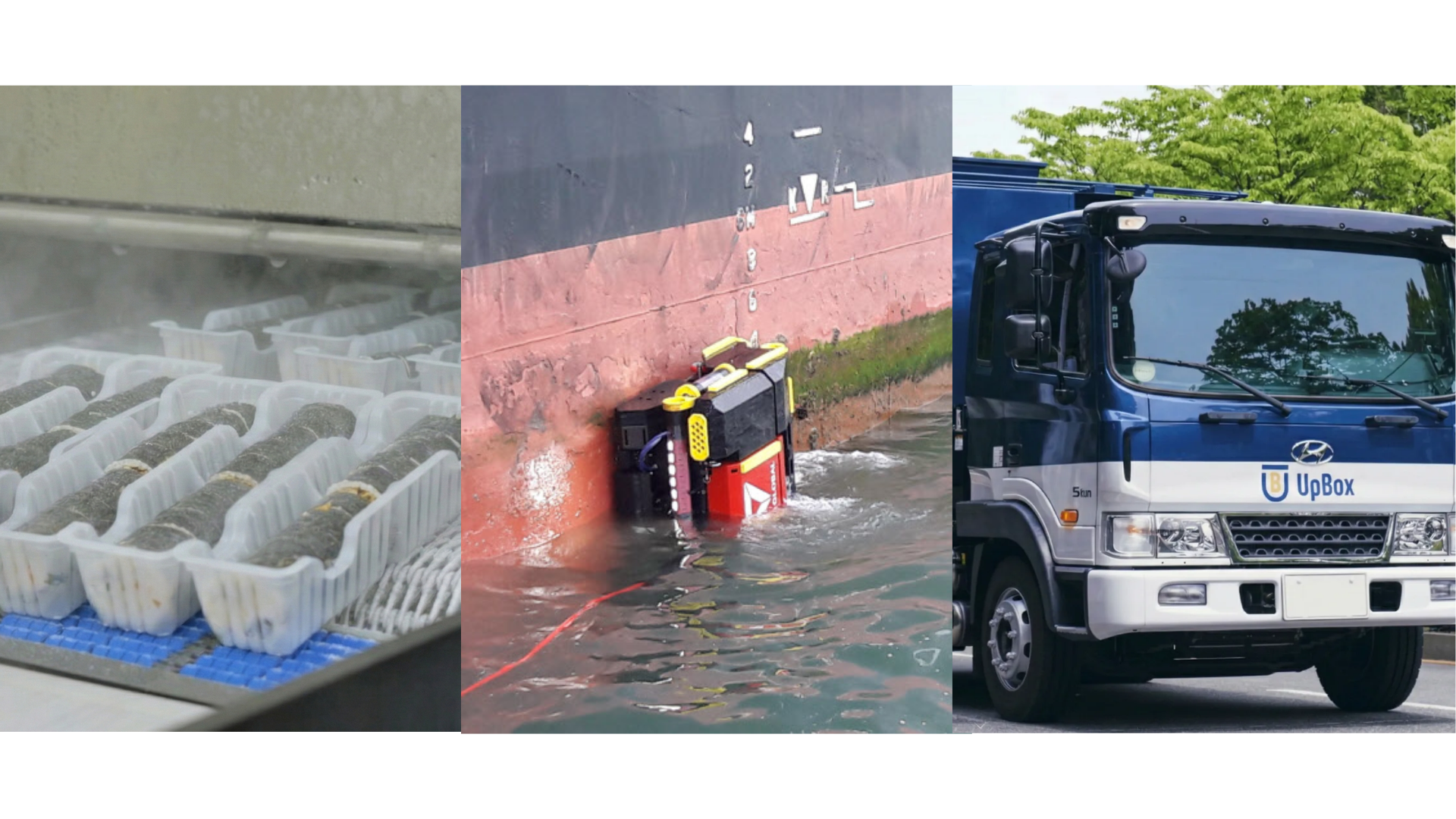 트렌드가 아닌 본질을 파고든 비즈니스, 조용한 강자들