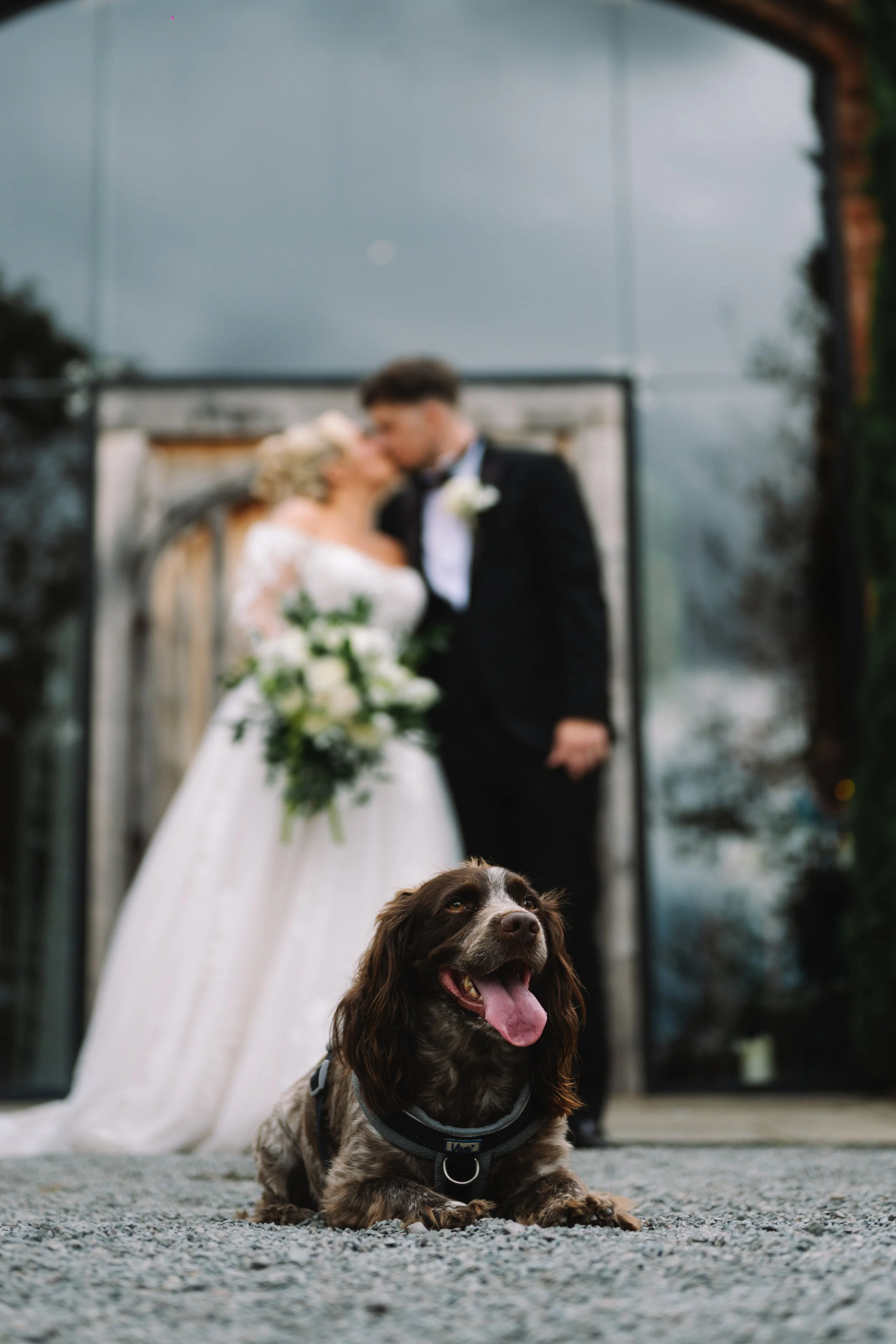 Brad-Hannah-Wedding-411.jpg
