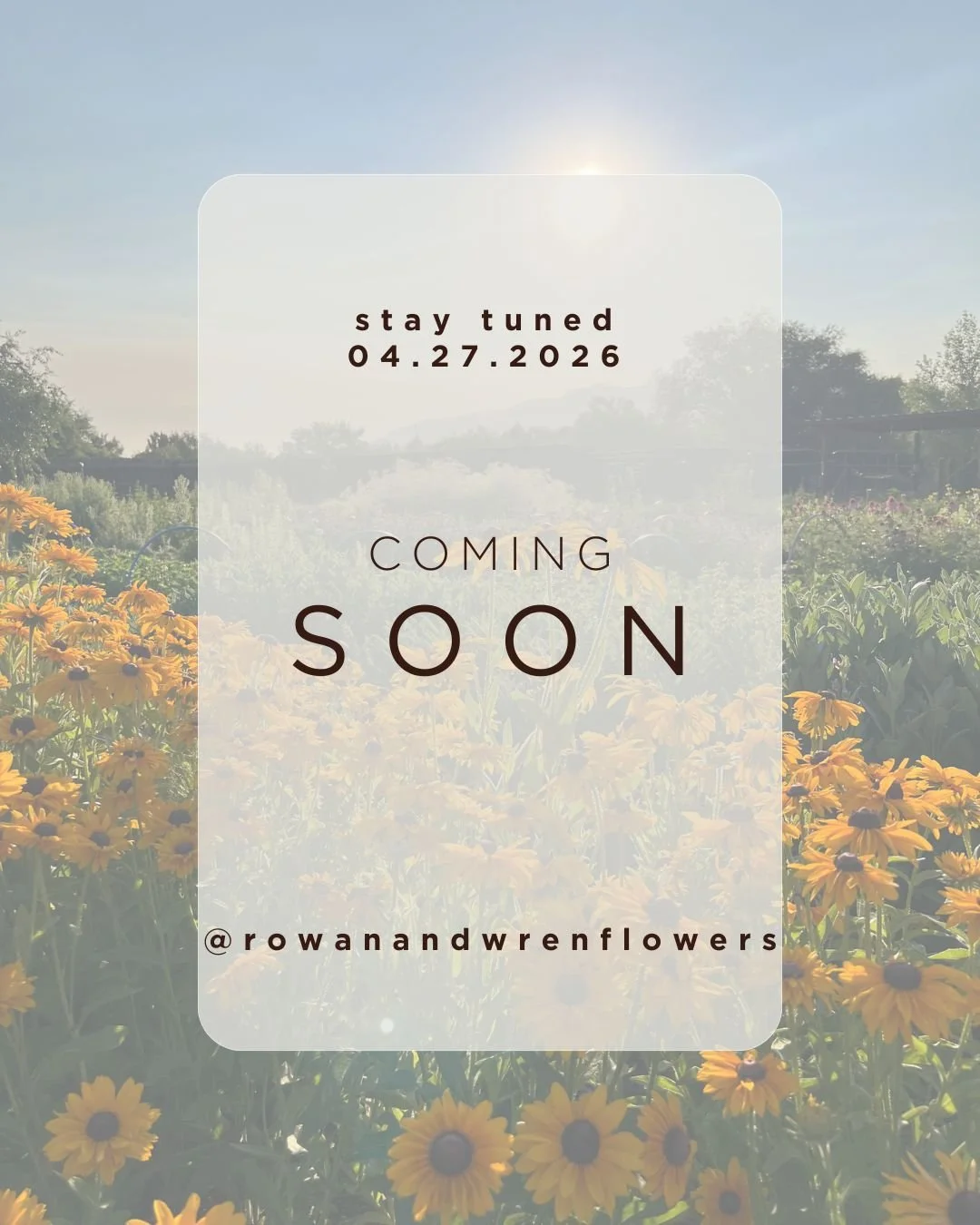 coming soon photo.jpg