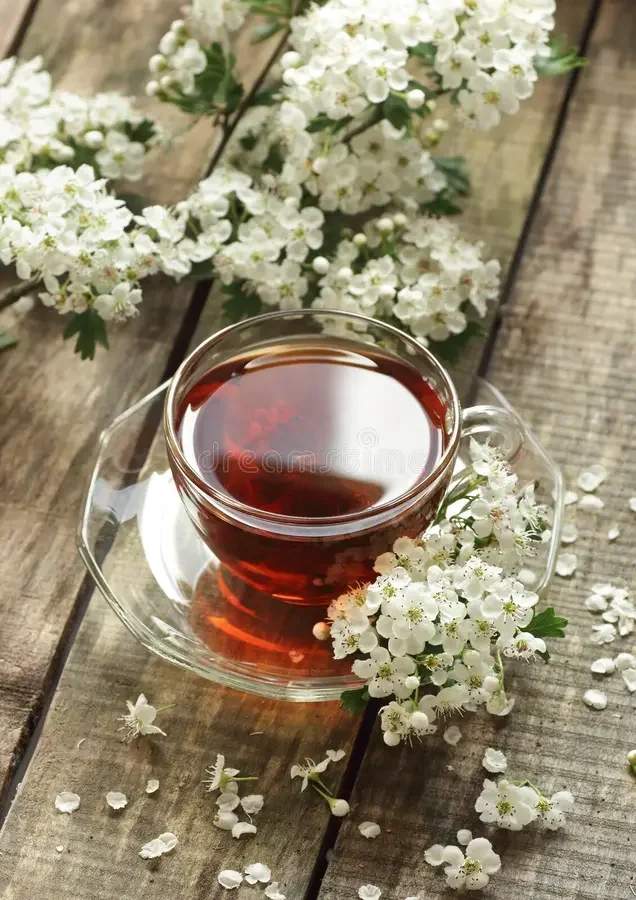 hawthorn-spring-floral-tea-blooming-branches-flower-buds-wooden-background-closeup-copy-space-vertical-herbal-teas-210604950.webp