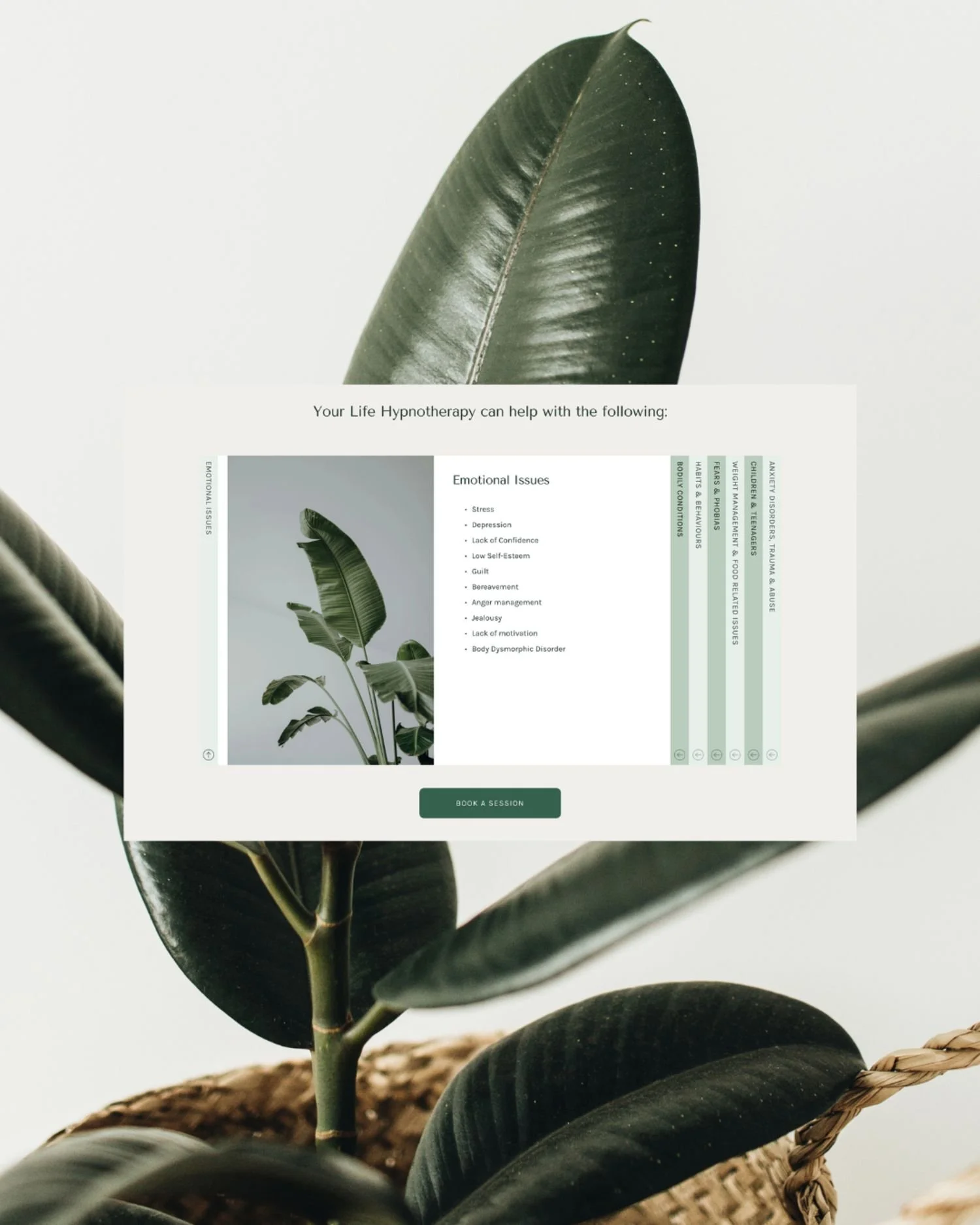 Social Magpie Design - Your Life Hypnotherapy Brand and Website Design-06.jpeg