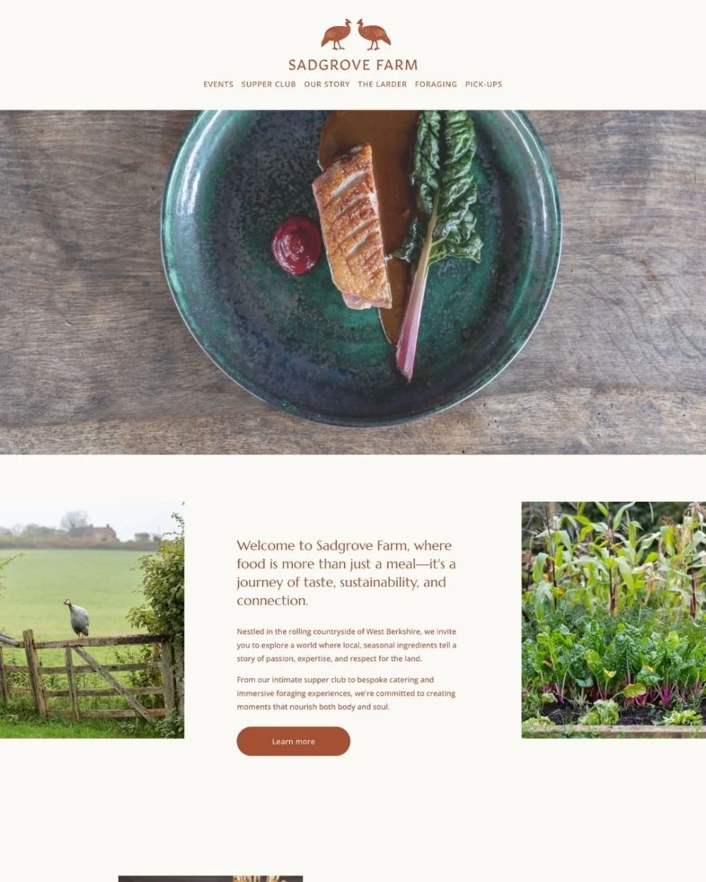 Social Magpie Design - Sadgrove Farm Brand-02.jpeg