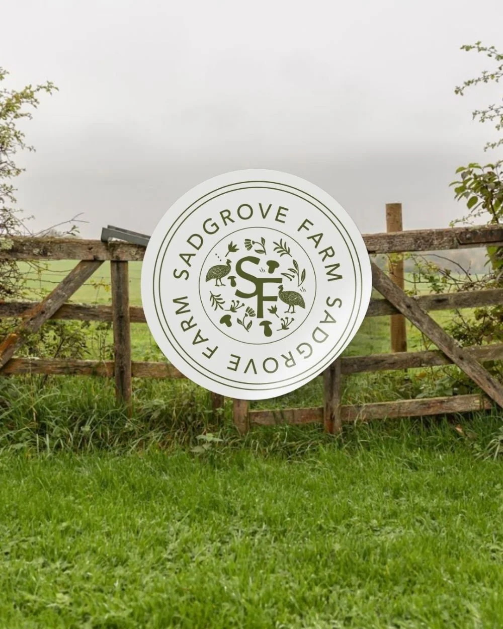 Social Magpie Design - Sadgrove Farm Brand-09.jpeg