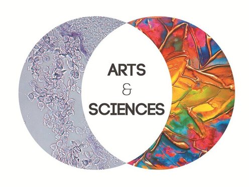 The art of science and the science of art