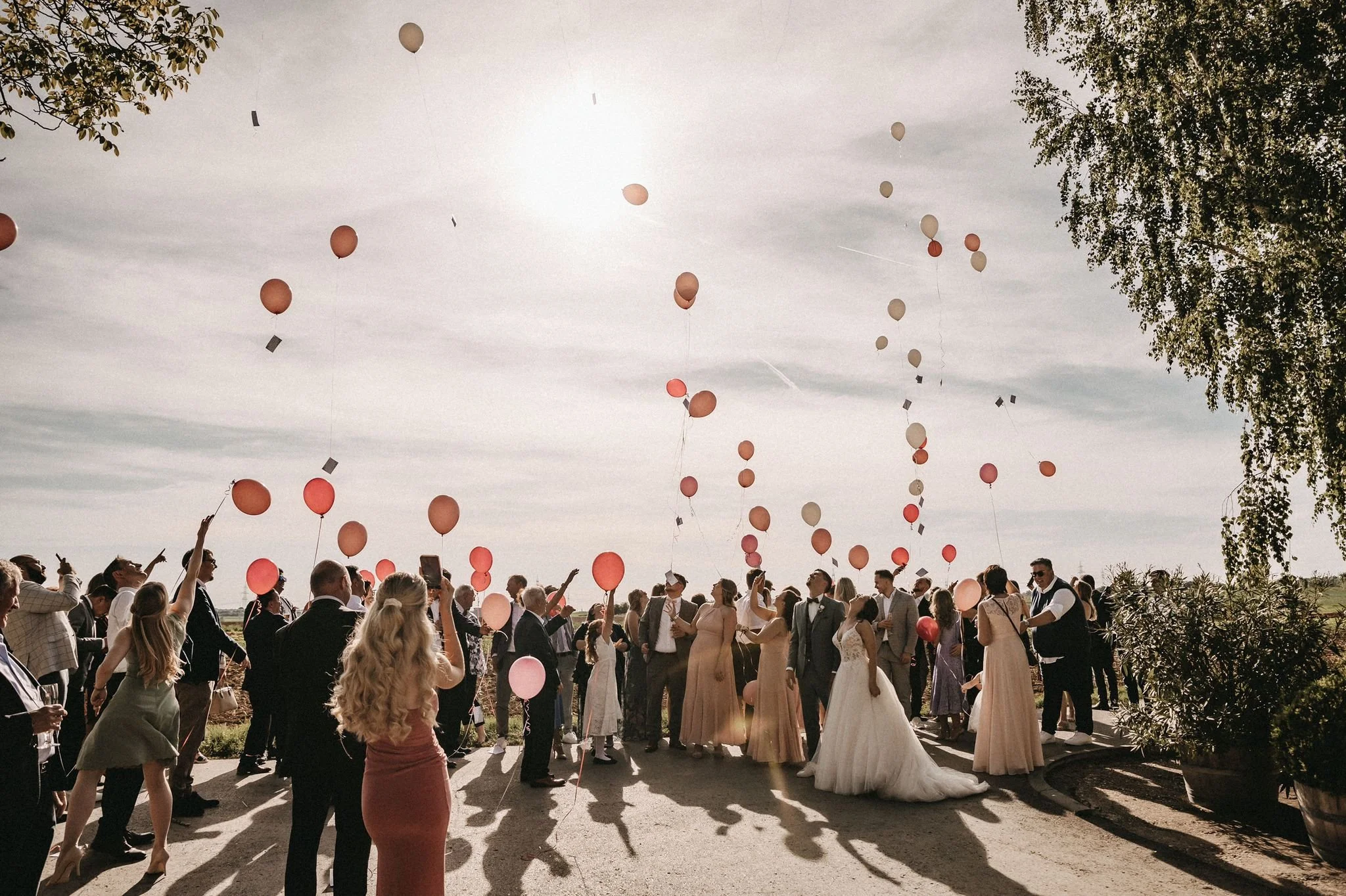 Gallery 3 — HOF LEUTENECKER