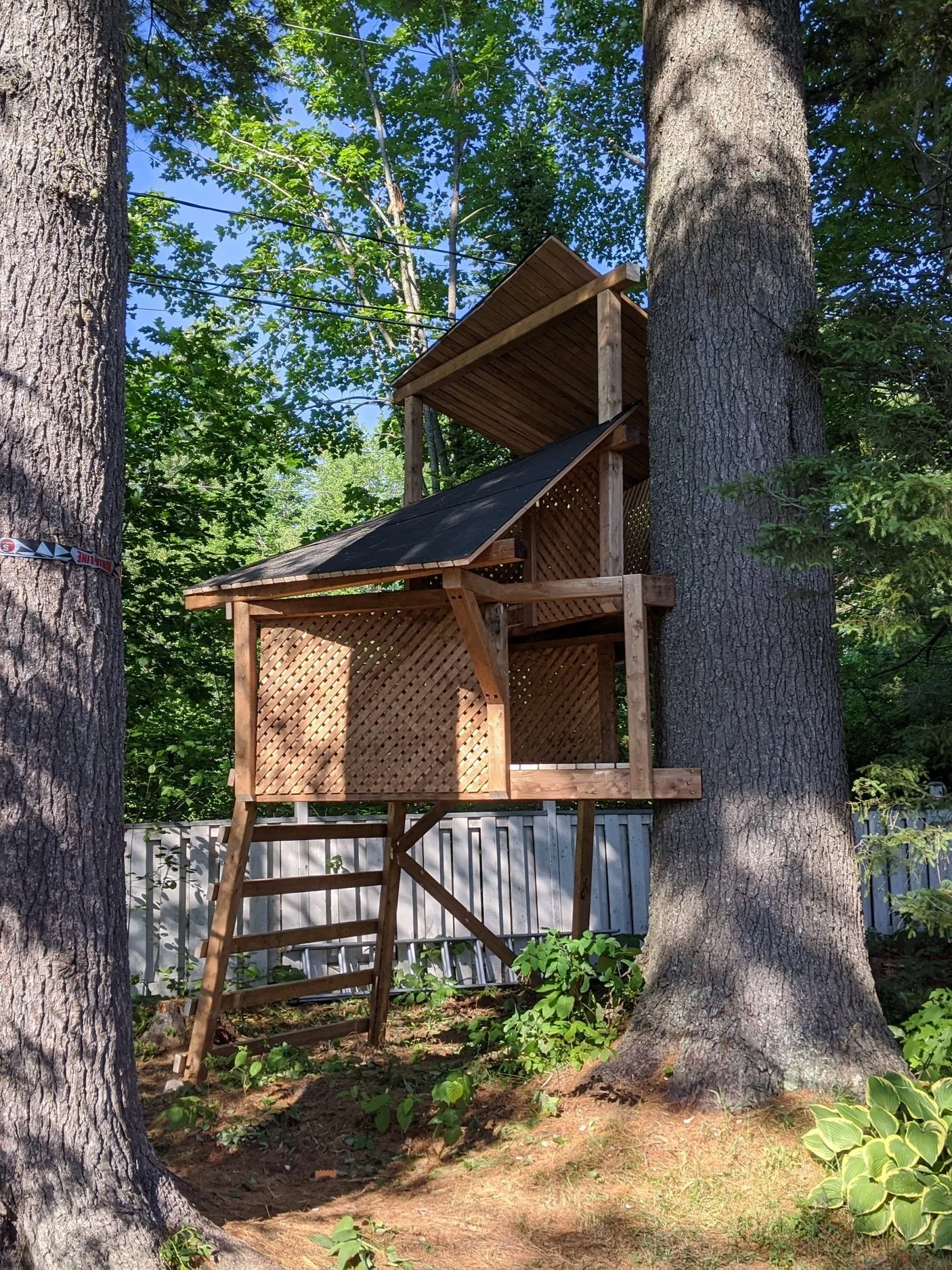 treehouse2.jpg