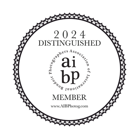 2024 Distinguished AIBP Member Liz Hansen