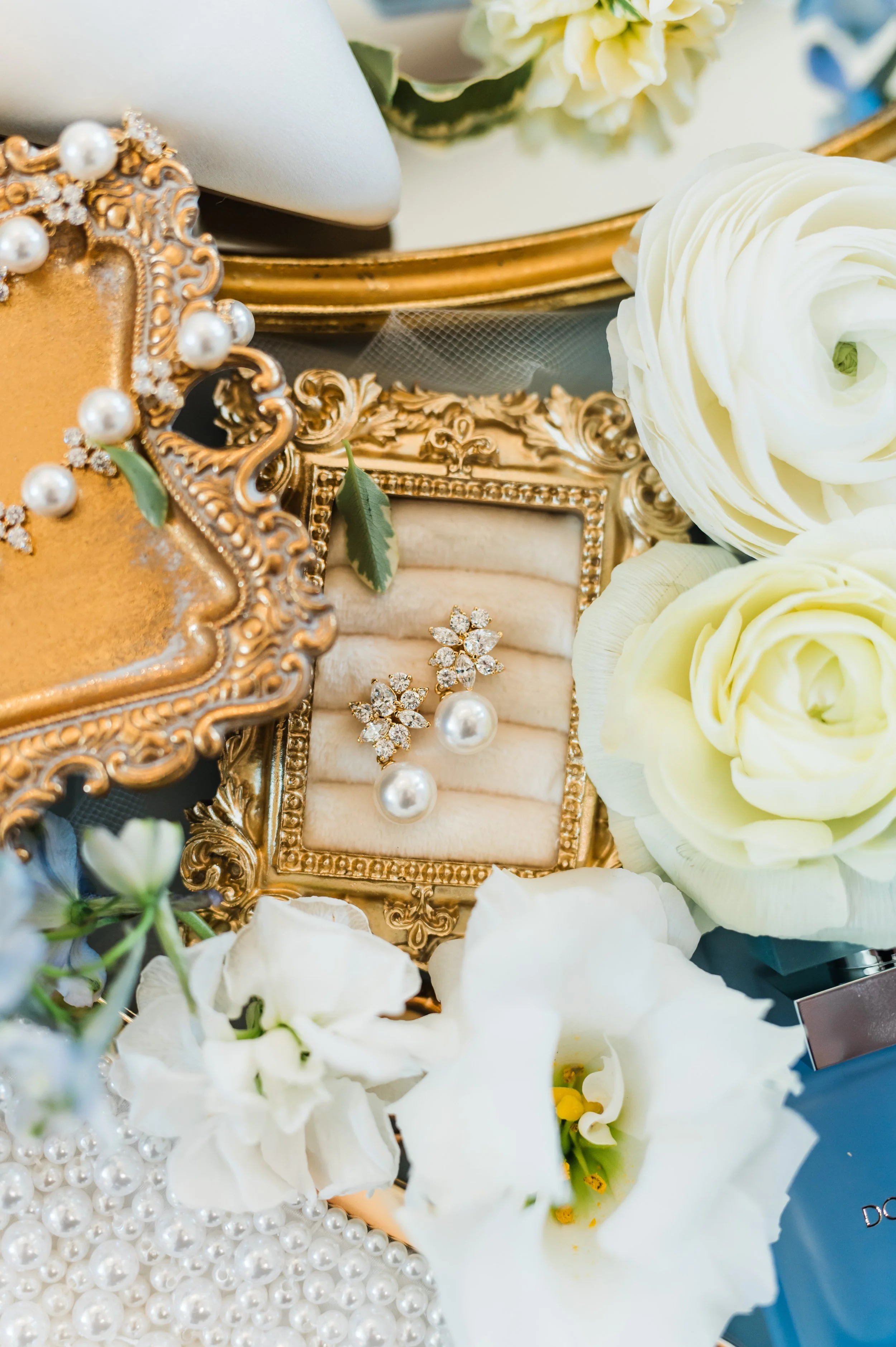 ParsaWeddingFrenchFarmhouseCollinsvilleTX-5.jpg