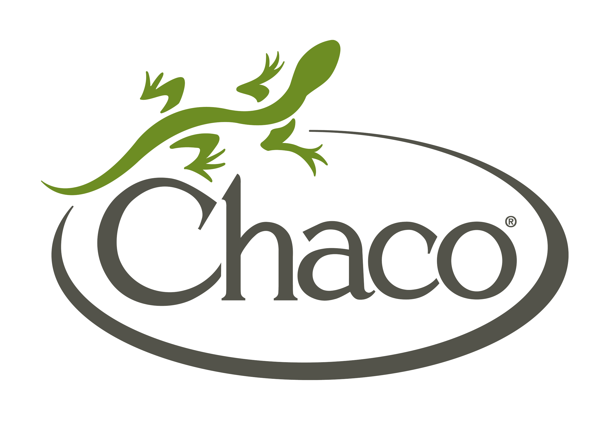 chaco+logo.png