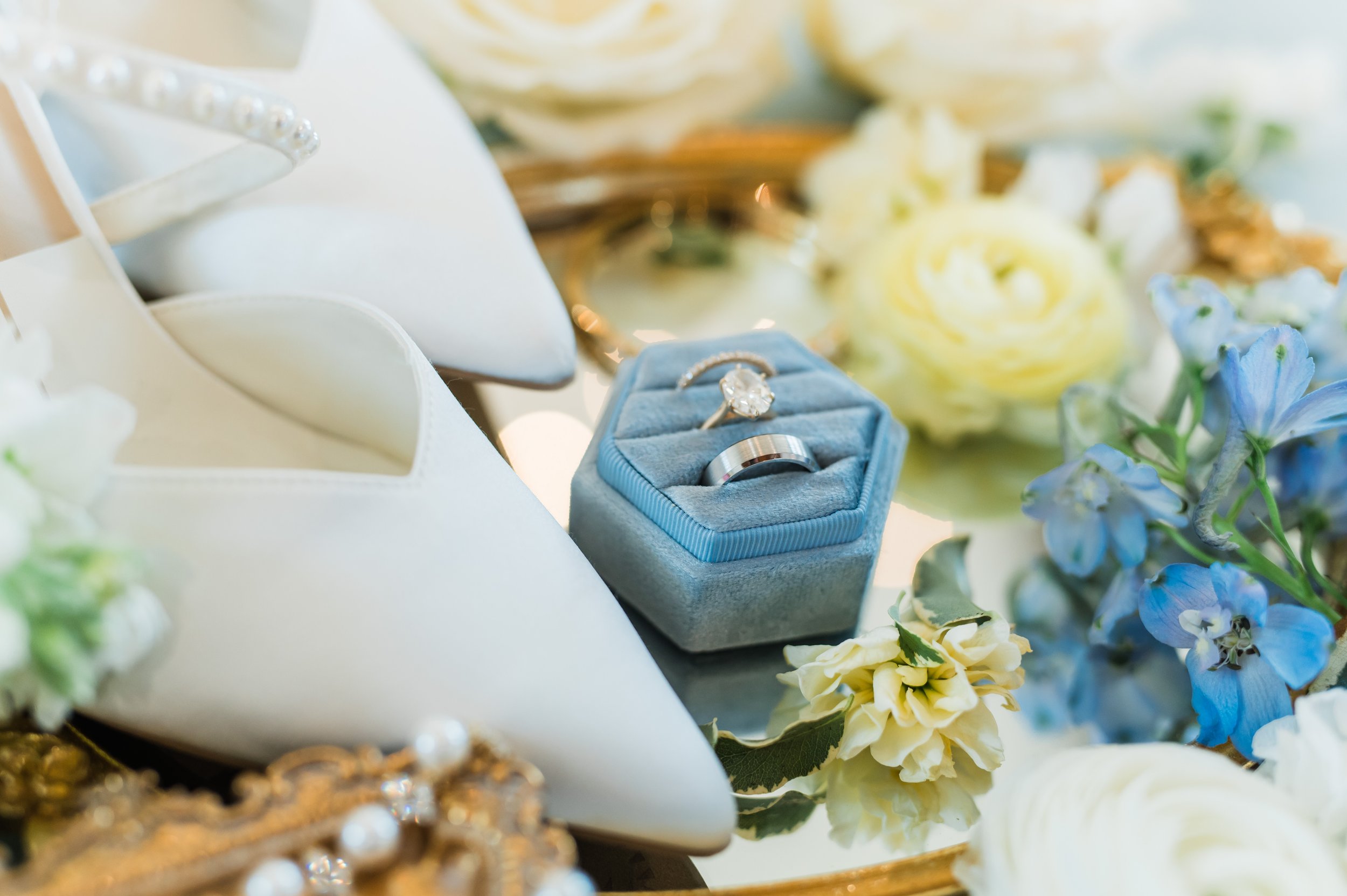 ParsaWeddingFrenchFarmhouseCollinsvilleTX-8.jpg