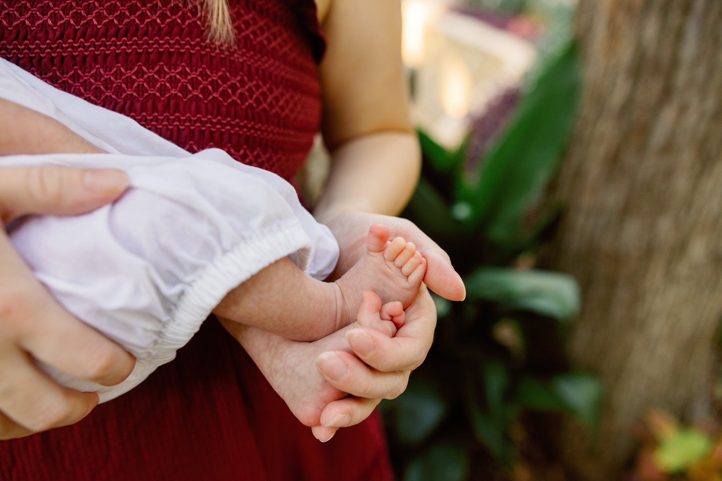 AndresNewbornsPratherHighlandParkTX-33.jpg
