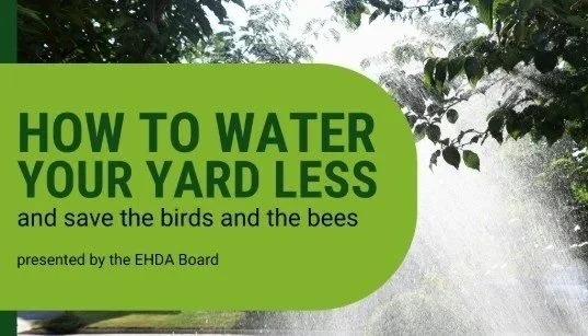 From Yard to Habitat: Go Native!