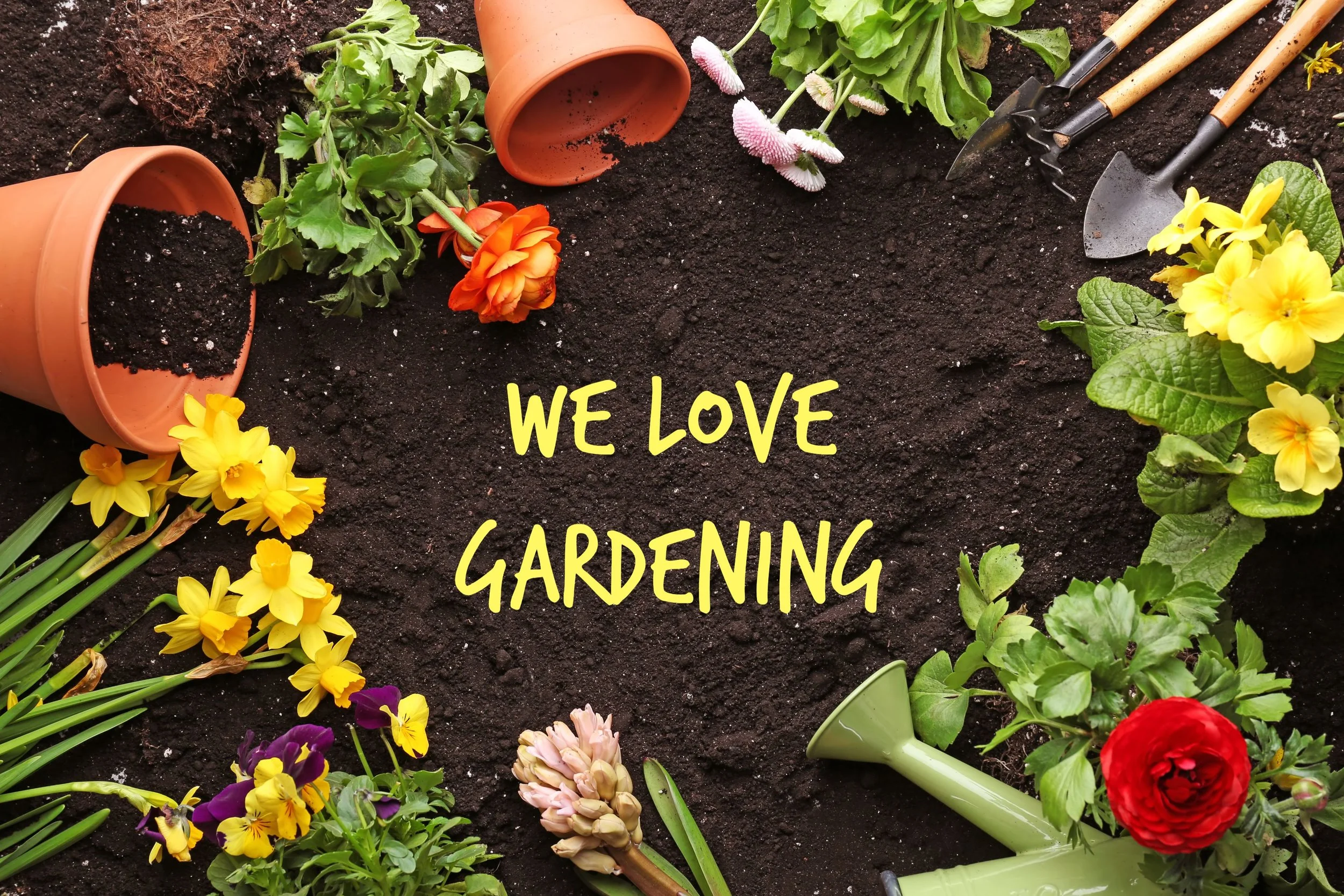 Vollintine Evergreen Garden Group (VEGG) 