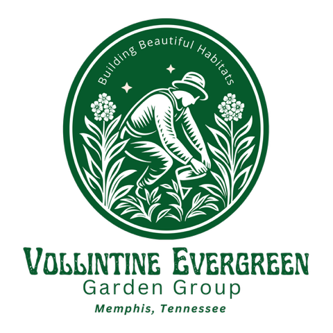 Vollintine Evergreen Garden Group (VEGG) 