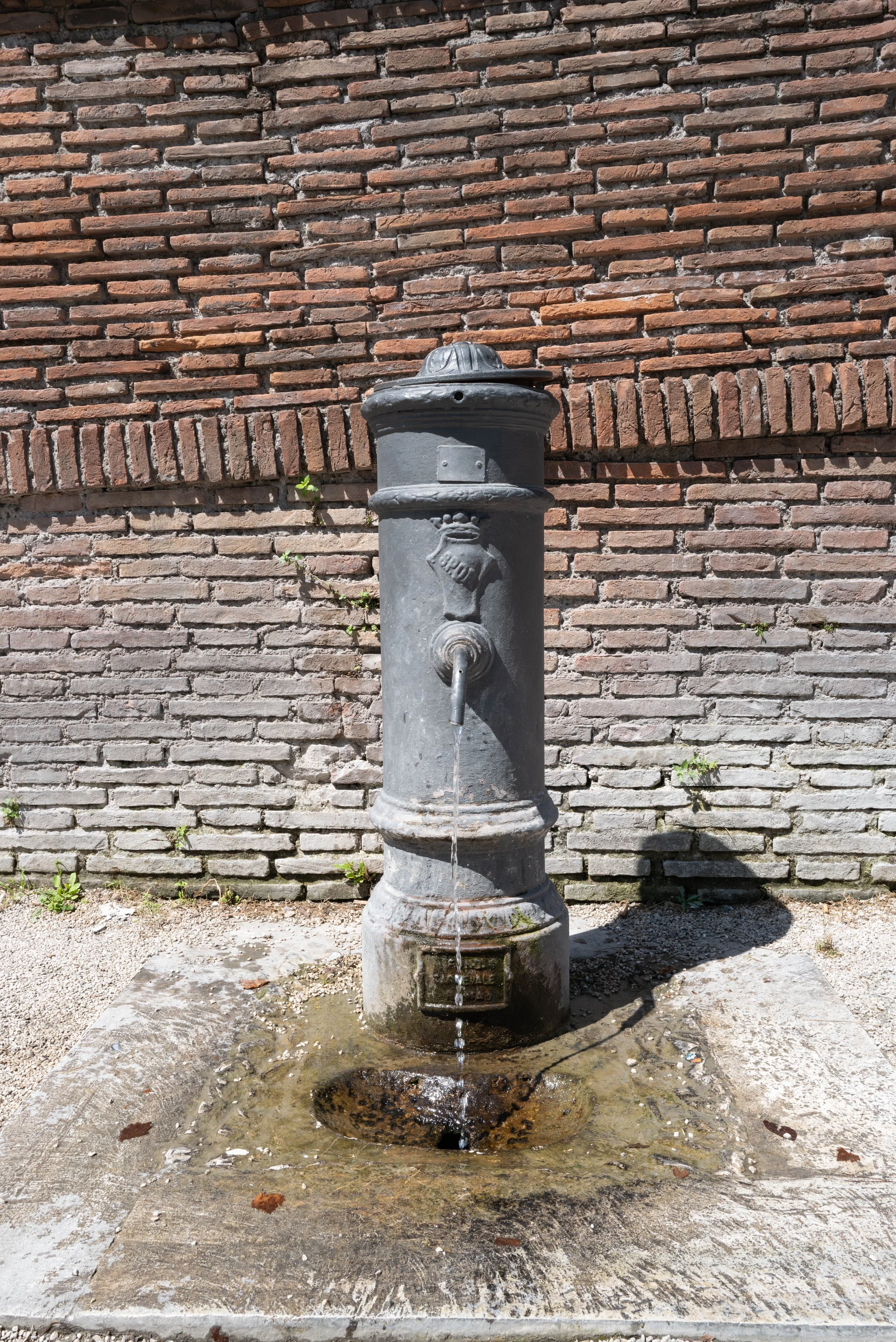 L1023058.jpg