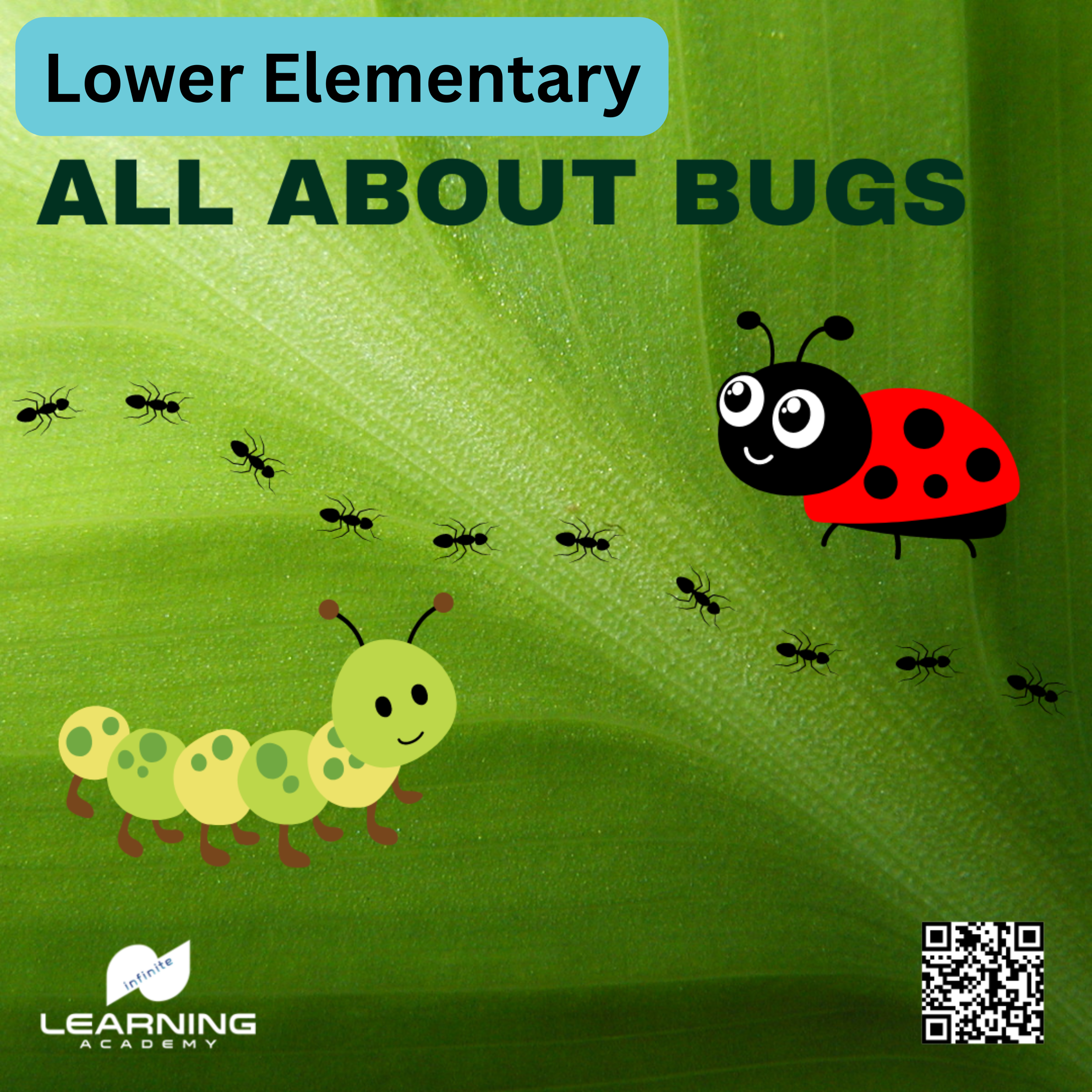 All About Bugs!  Lower Elementary Course