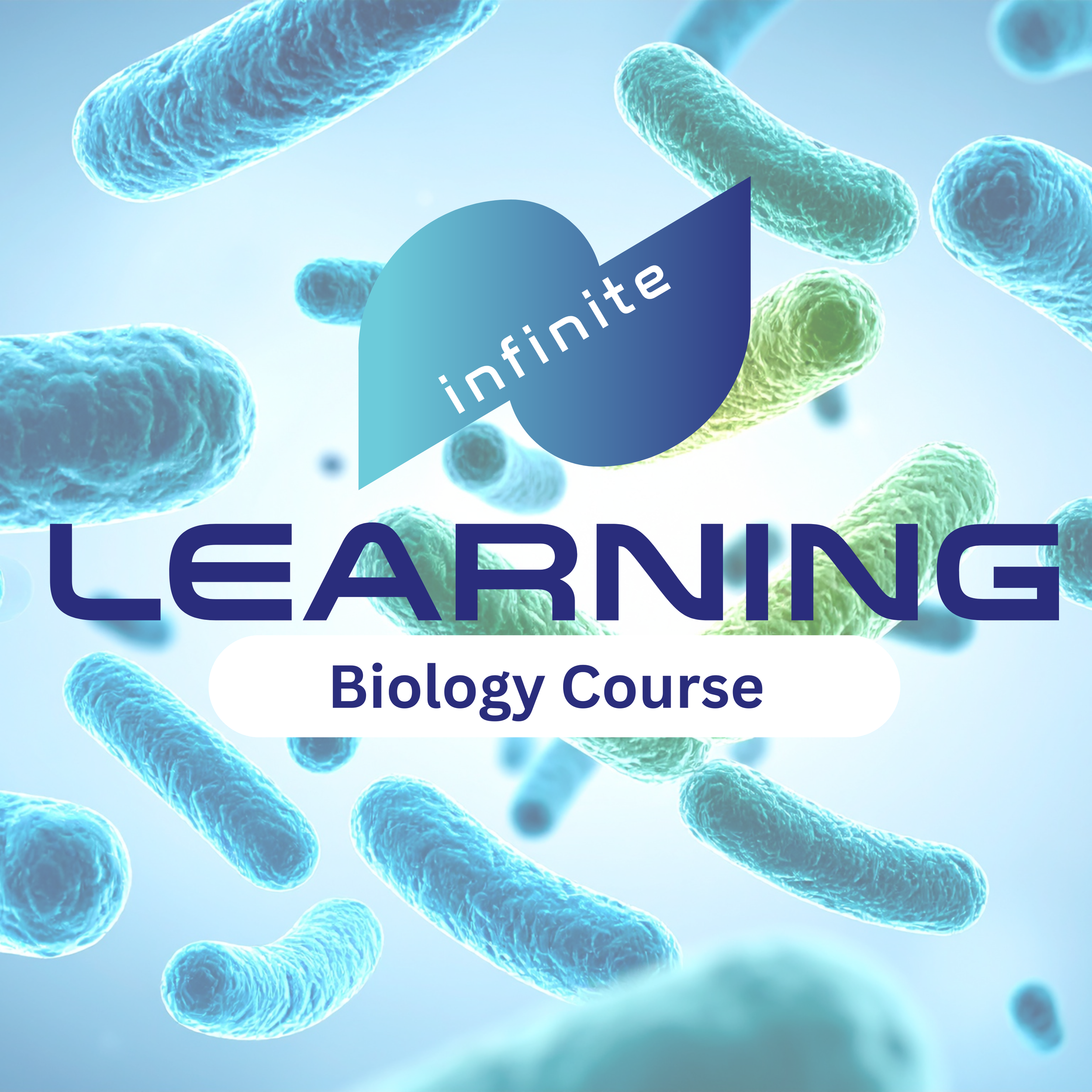 Courses for Website (6).png