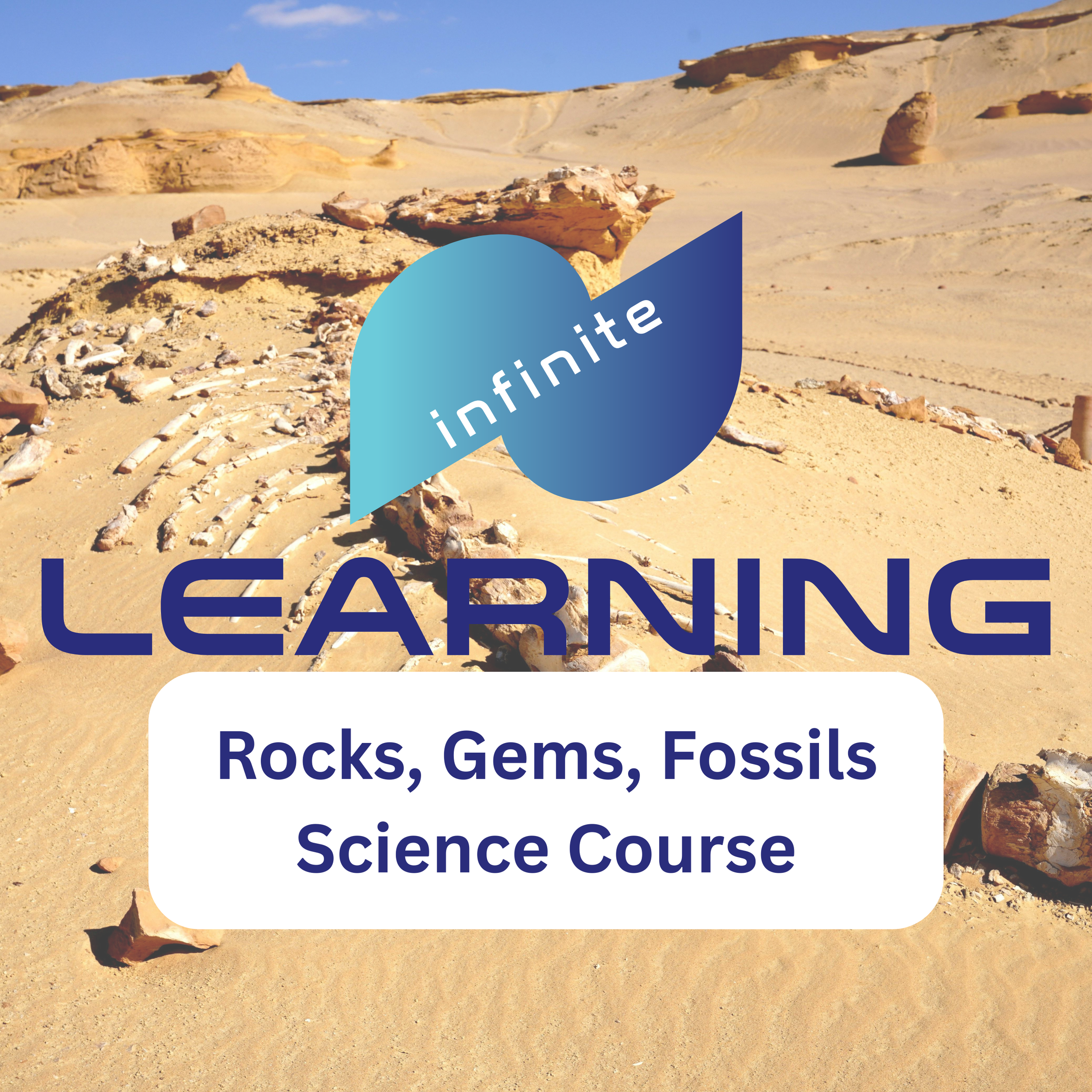 Courses for Website (3).png
