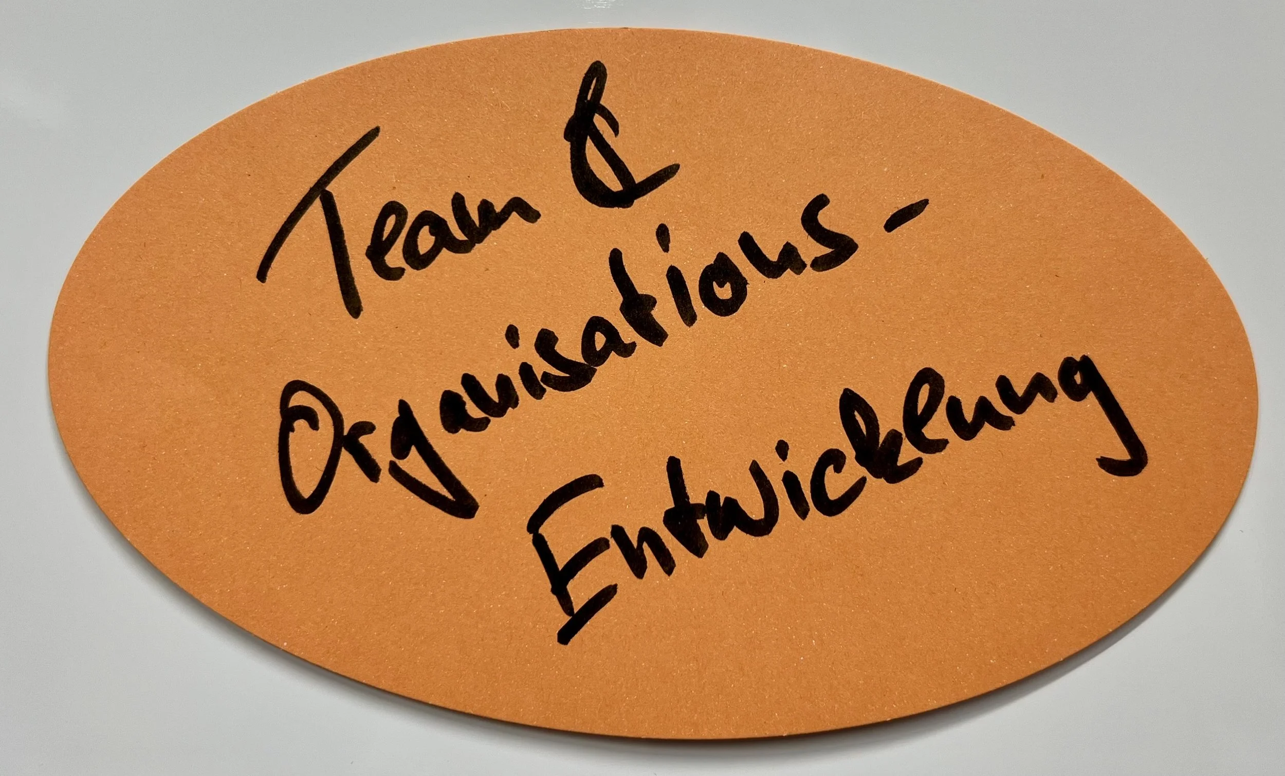 Team&Organisationsentwicklung