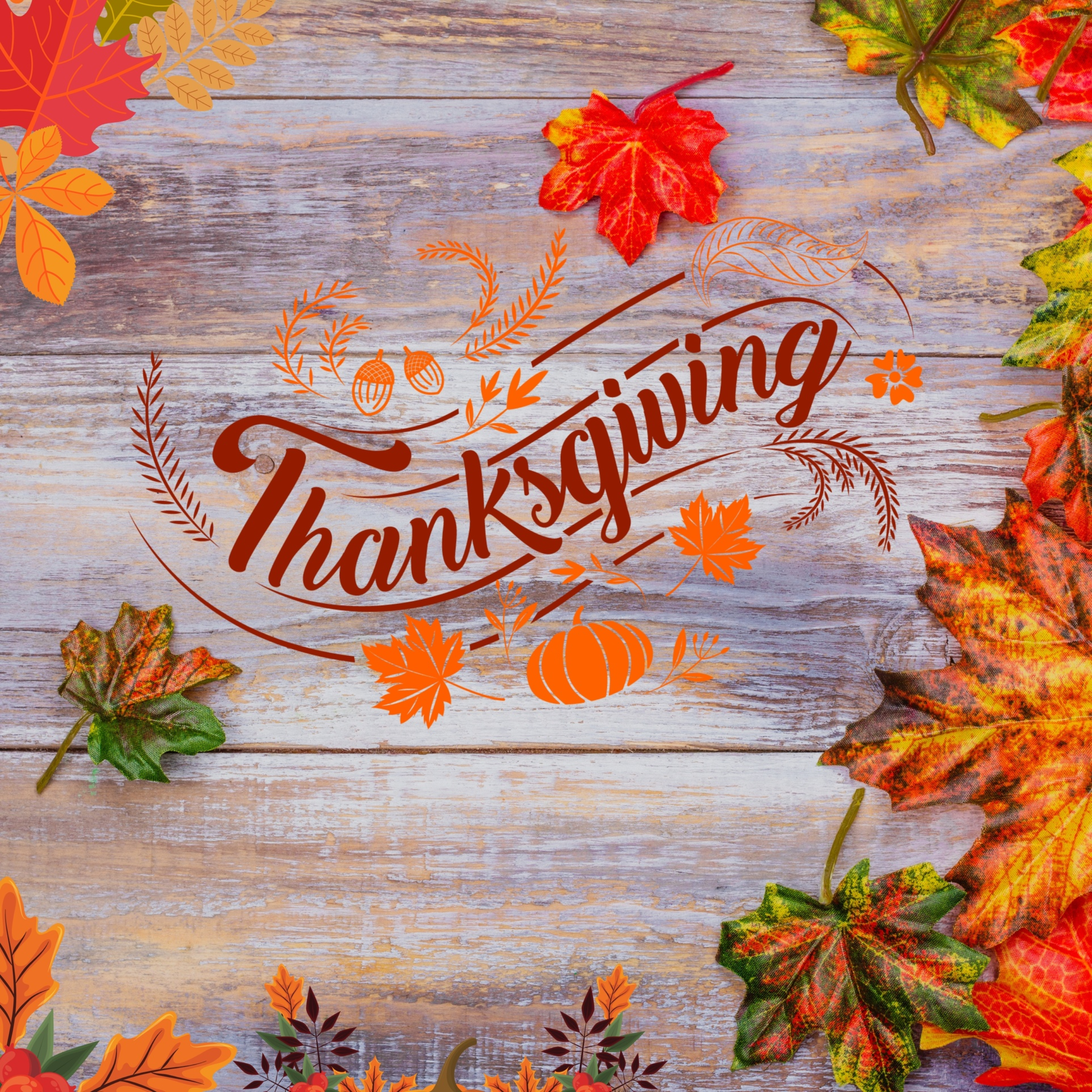 Thanksgiving 